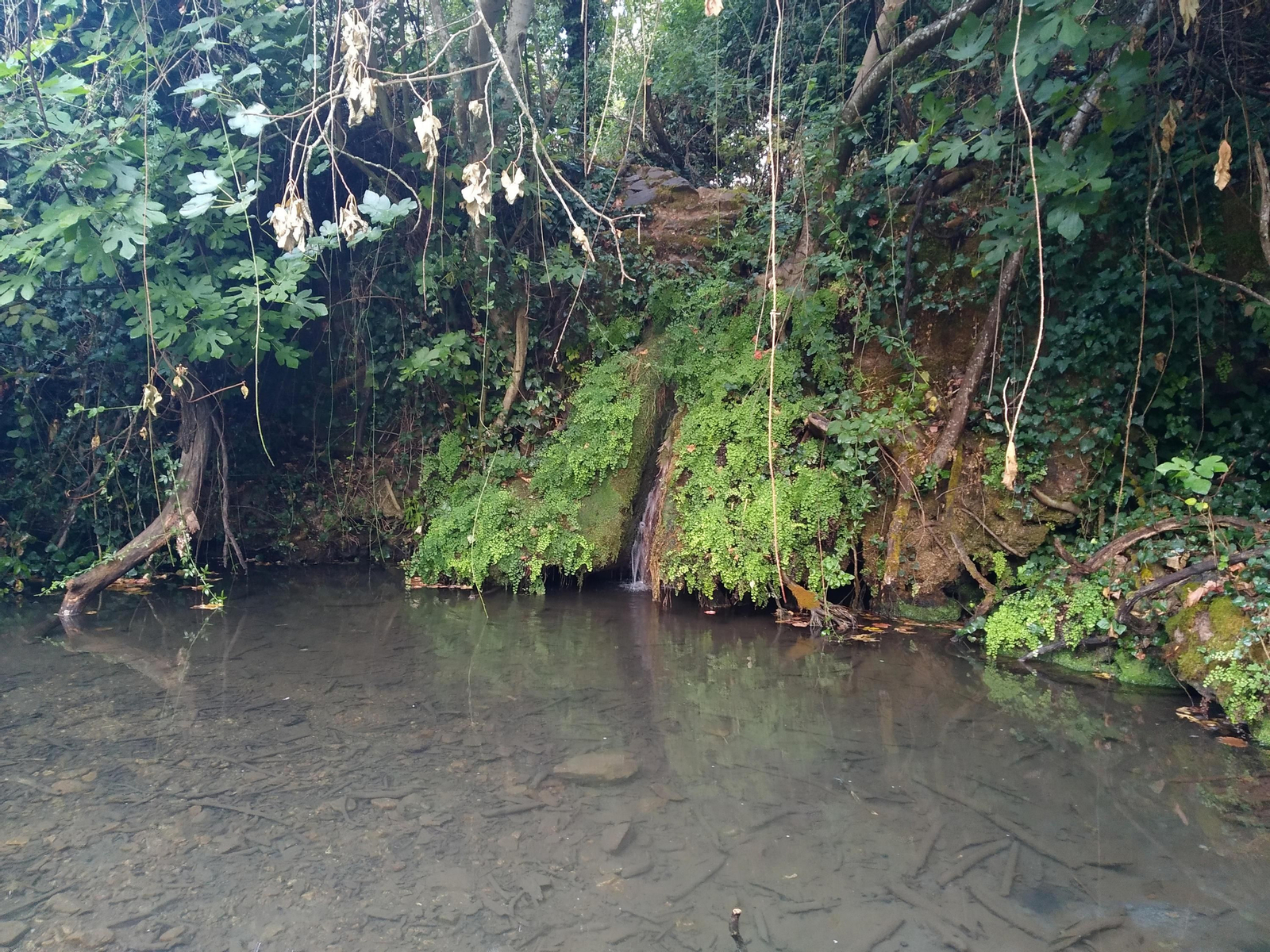 El arroyo Bejarano de Córdoba.