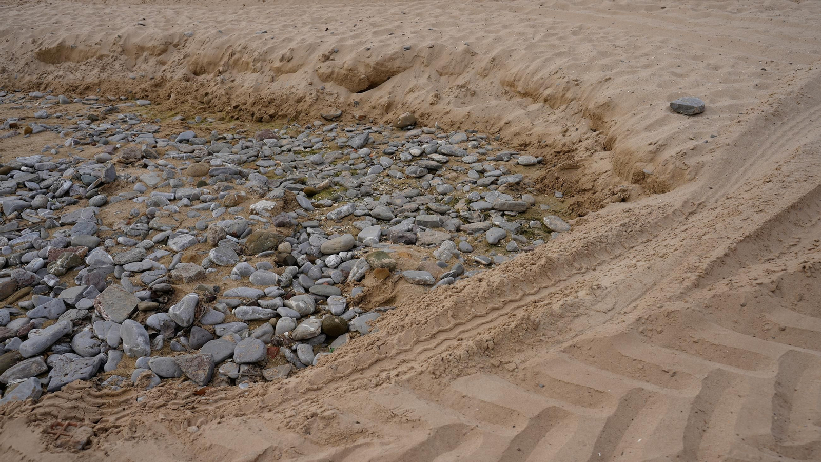Fotos de la playa de Getares llena de cañas y desechos