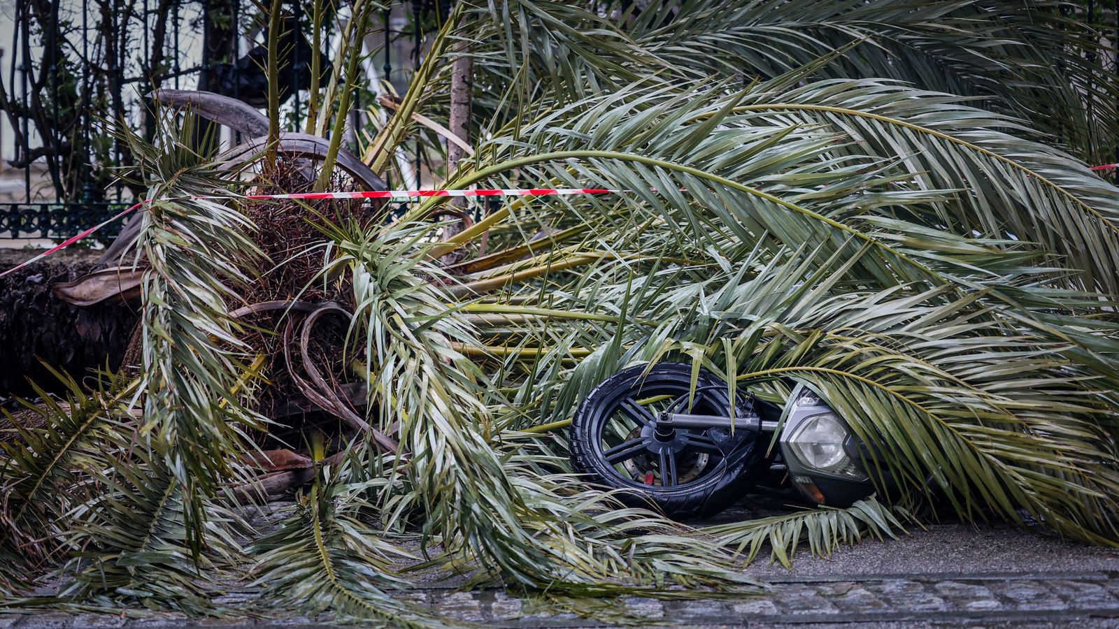 Imágenes de las incidencias y destrozos provocados por la borrasca Kristin en Cádiz