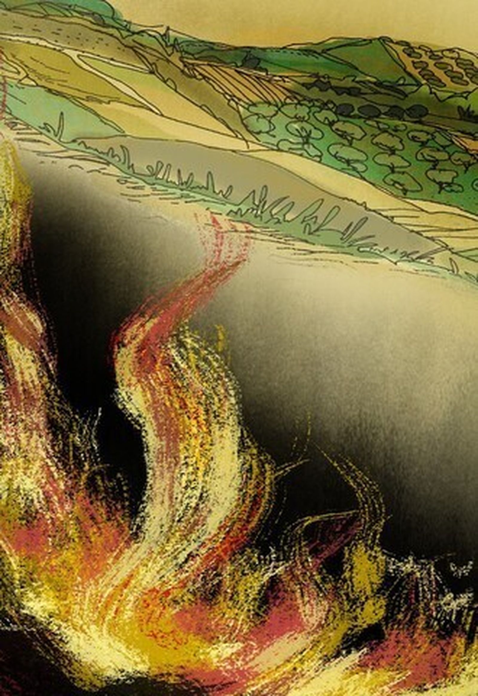 Los incendios: geografía y ciudadanía