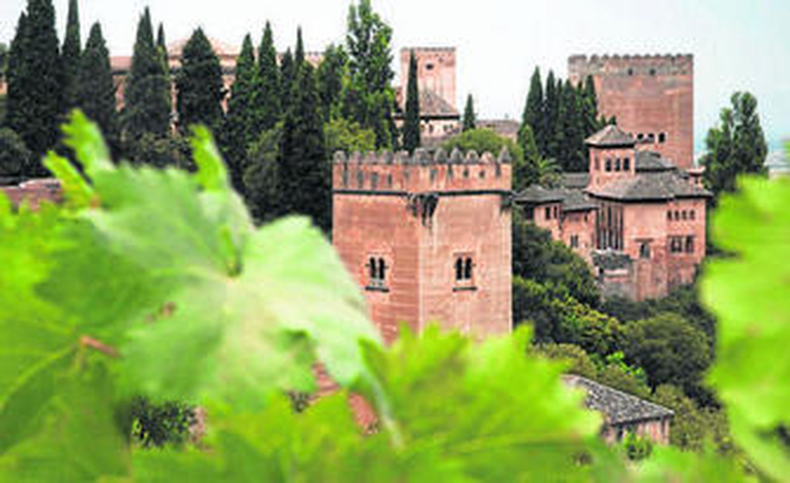 El monumento más visitado de Andalucía, La Alhambra, desde unos viñedos cercanos.