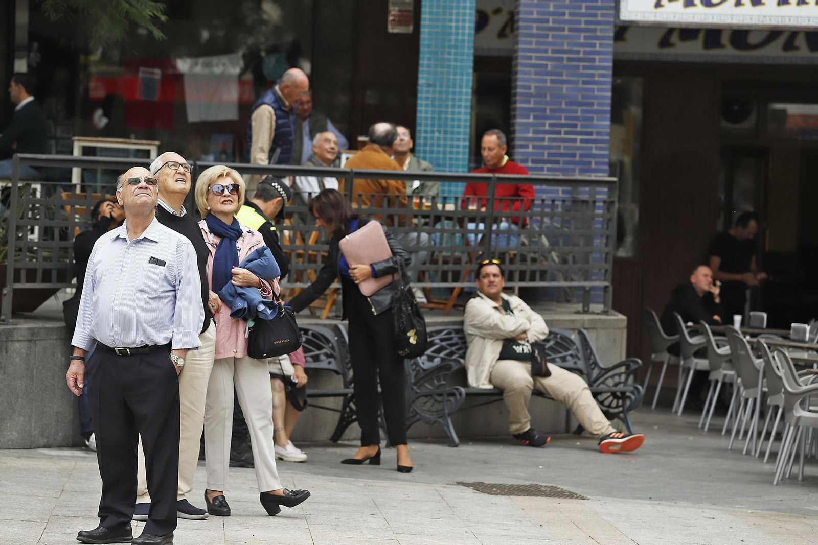 La palmera de Huelva es sometida a una inspección y posterior poda tras el paso del último temporal