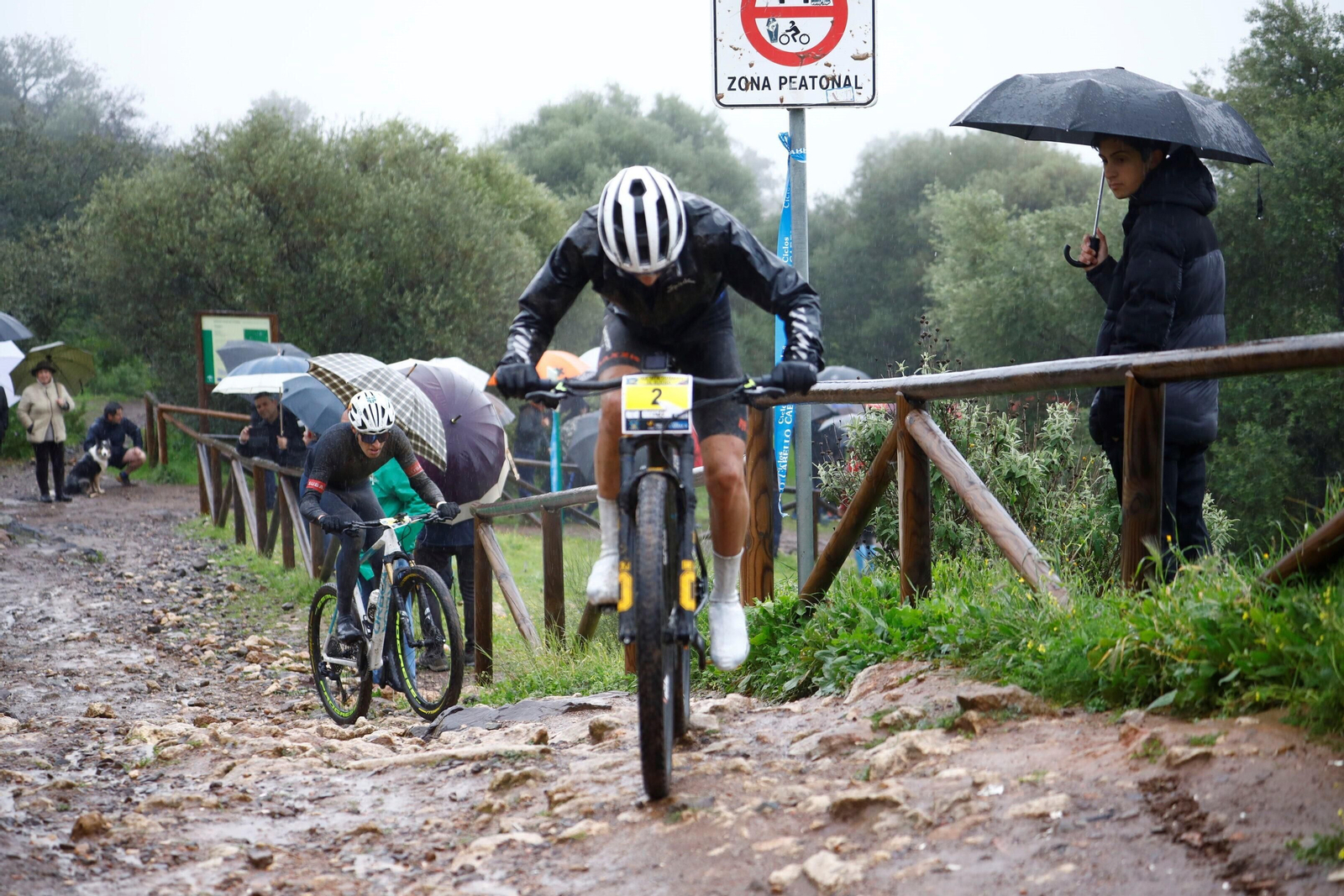 Las mejores fotos de la MTB Guzmán El Bueno 2024