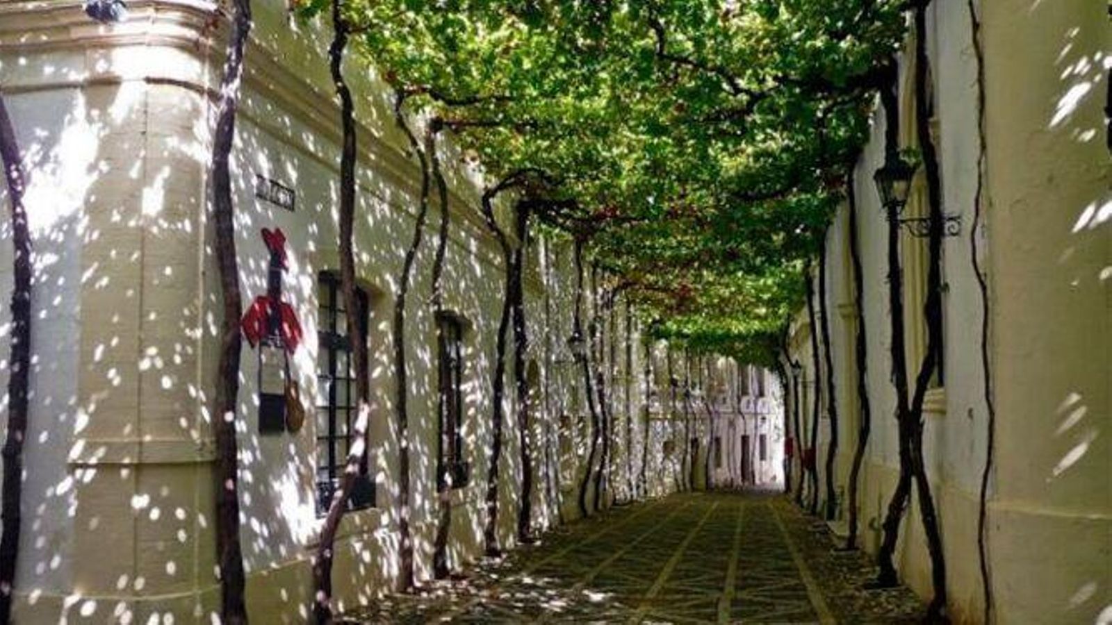 La calle Ciegos con su característico emparrado y el suelo de adoquines. La calle Ciegos con su característico emparrado y el suelo de adoquines.