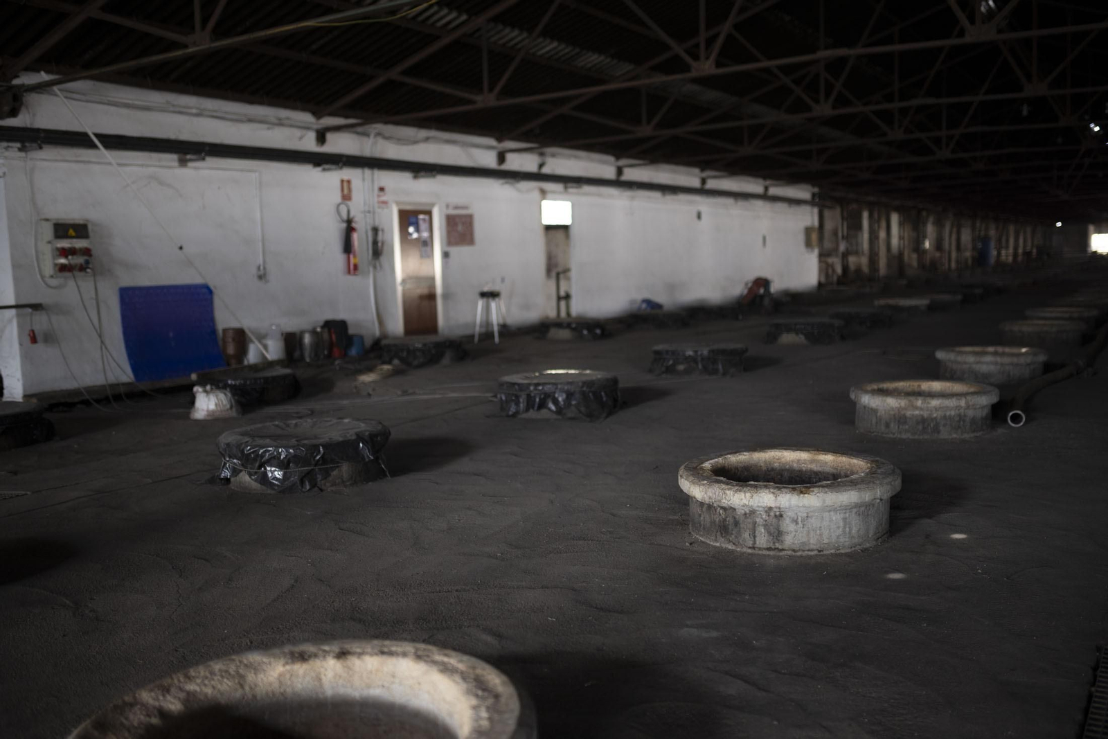 Imágenes de la vendimia en el Condado de Huelva