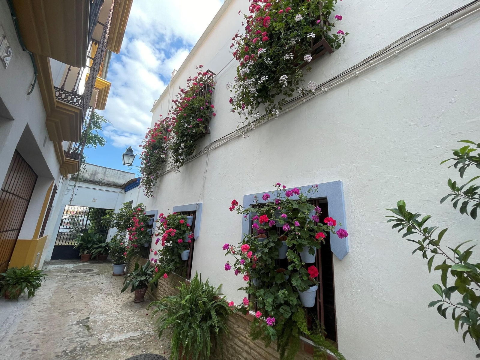 Rejas y balcones del número 4 de la calle Tafures, primer premio en 2025