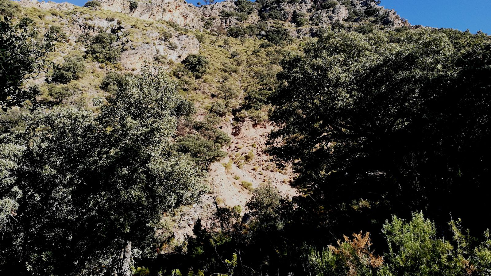 Sierra de Berja.
