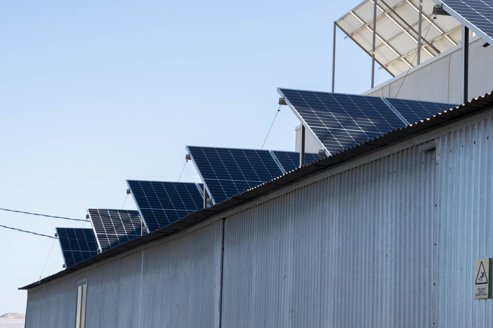 La primavera se planta en invierno entre sandías y tomates almerienses