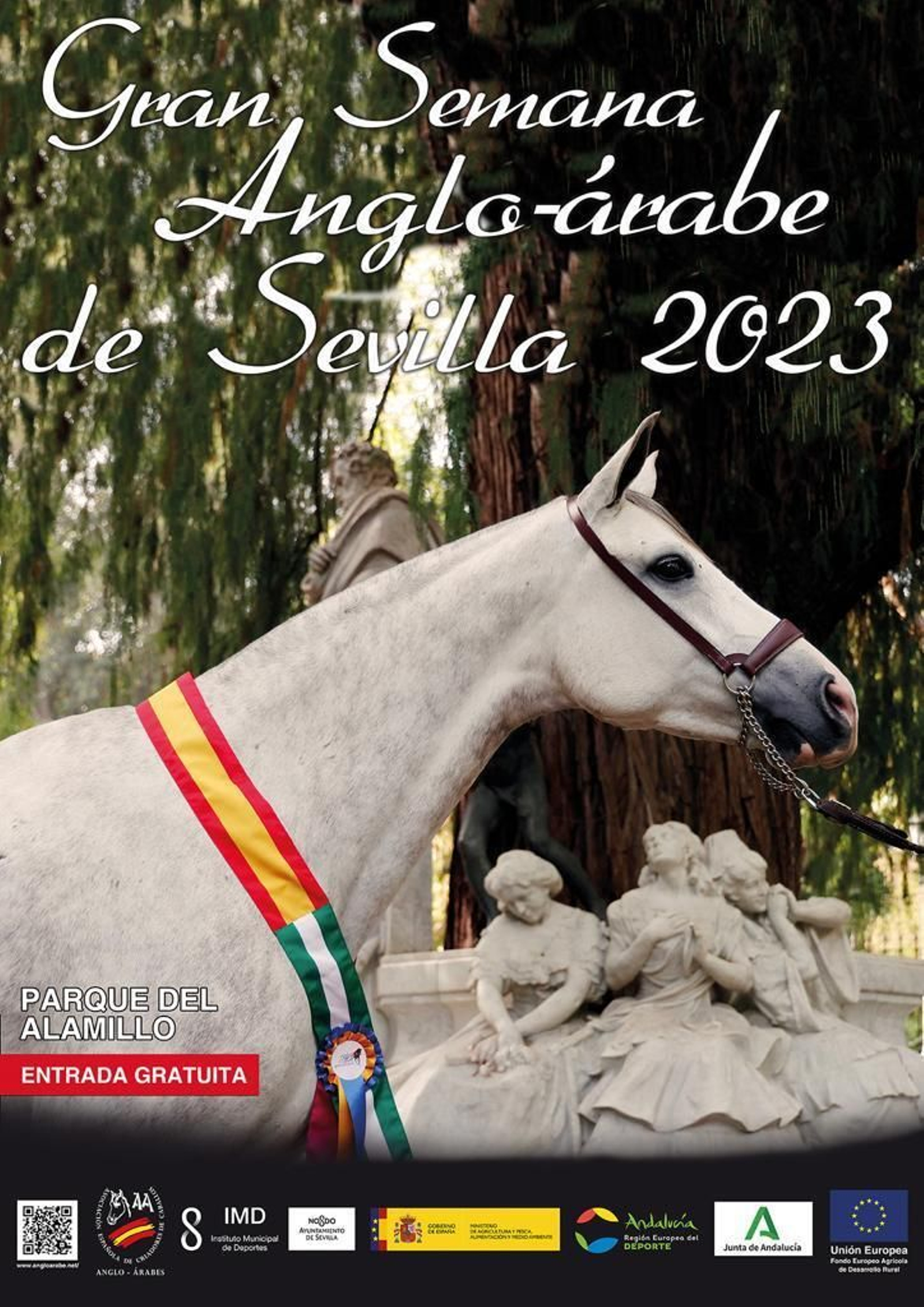 El cartel de la decimotercera edición.