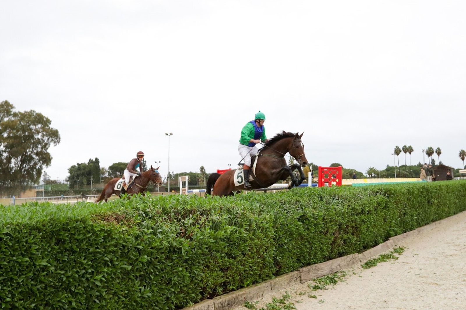 Búscate en las carreras de caballos de Pineda