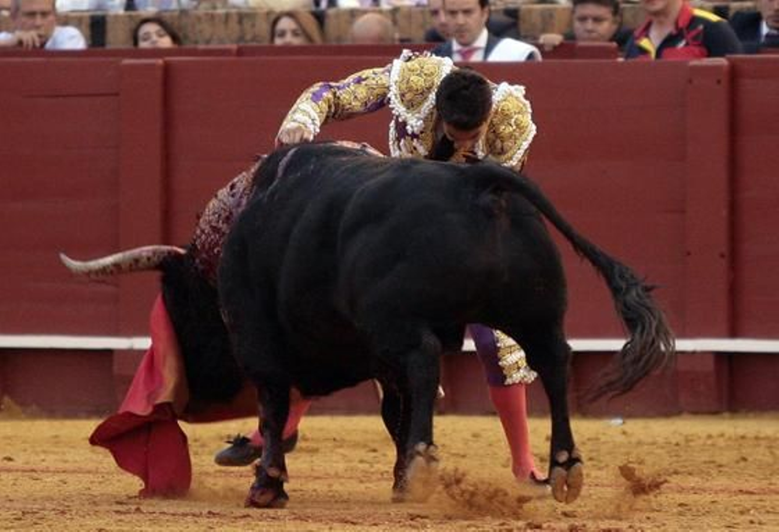 Manzanares con el quinto toro.

Foto: Juan Carlos Muñoz