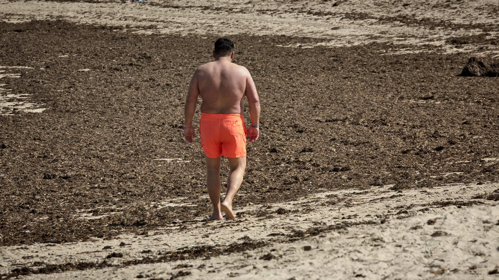 Imágenes: La orilla de la playa de La Caleta, cubierta de algas
