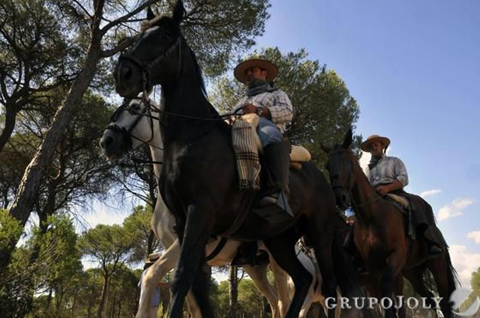 La Hermandad del Rocío de Triana a su paso por la Raya Real antes de llegar a la aldea almonteña.

Foto: Juan Carlos Vázquez