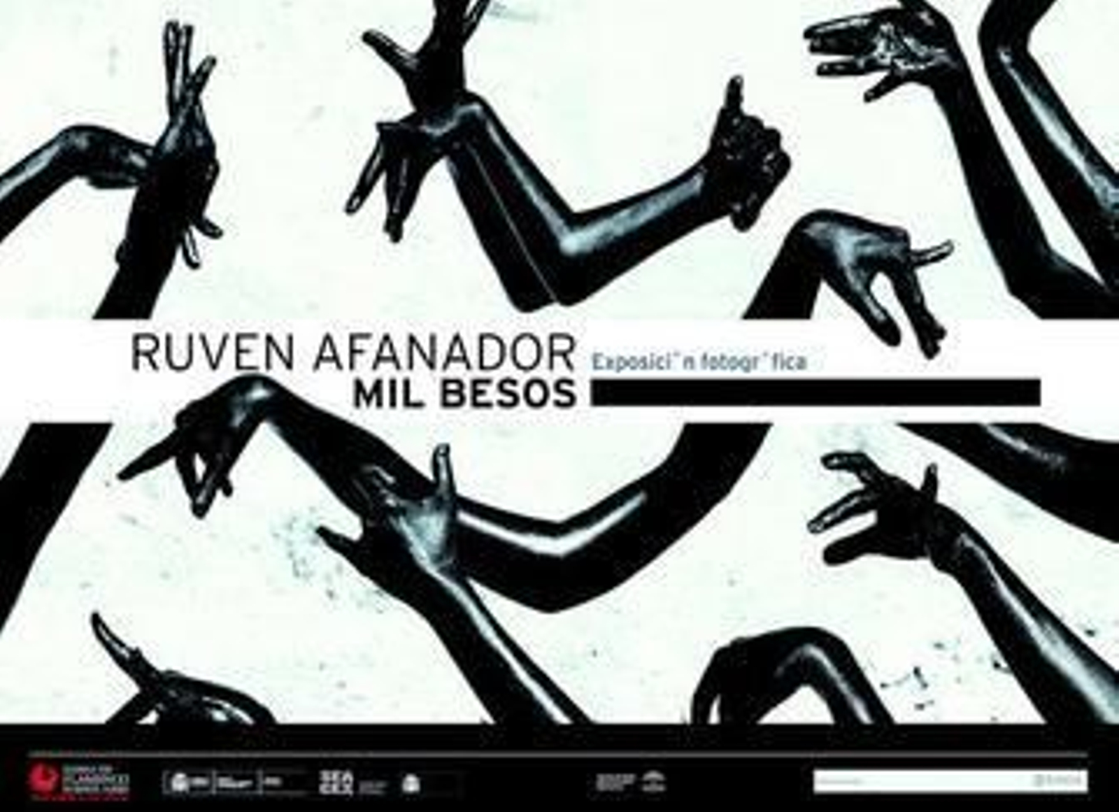 Cartel que anuncia la exposición de Afanador en la Bienal de Flamenco.