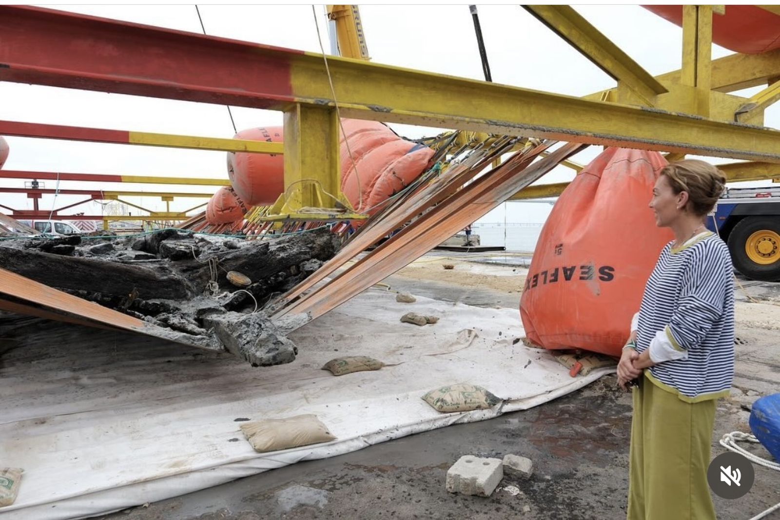 El ojo del amo engorda al caballo