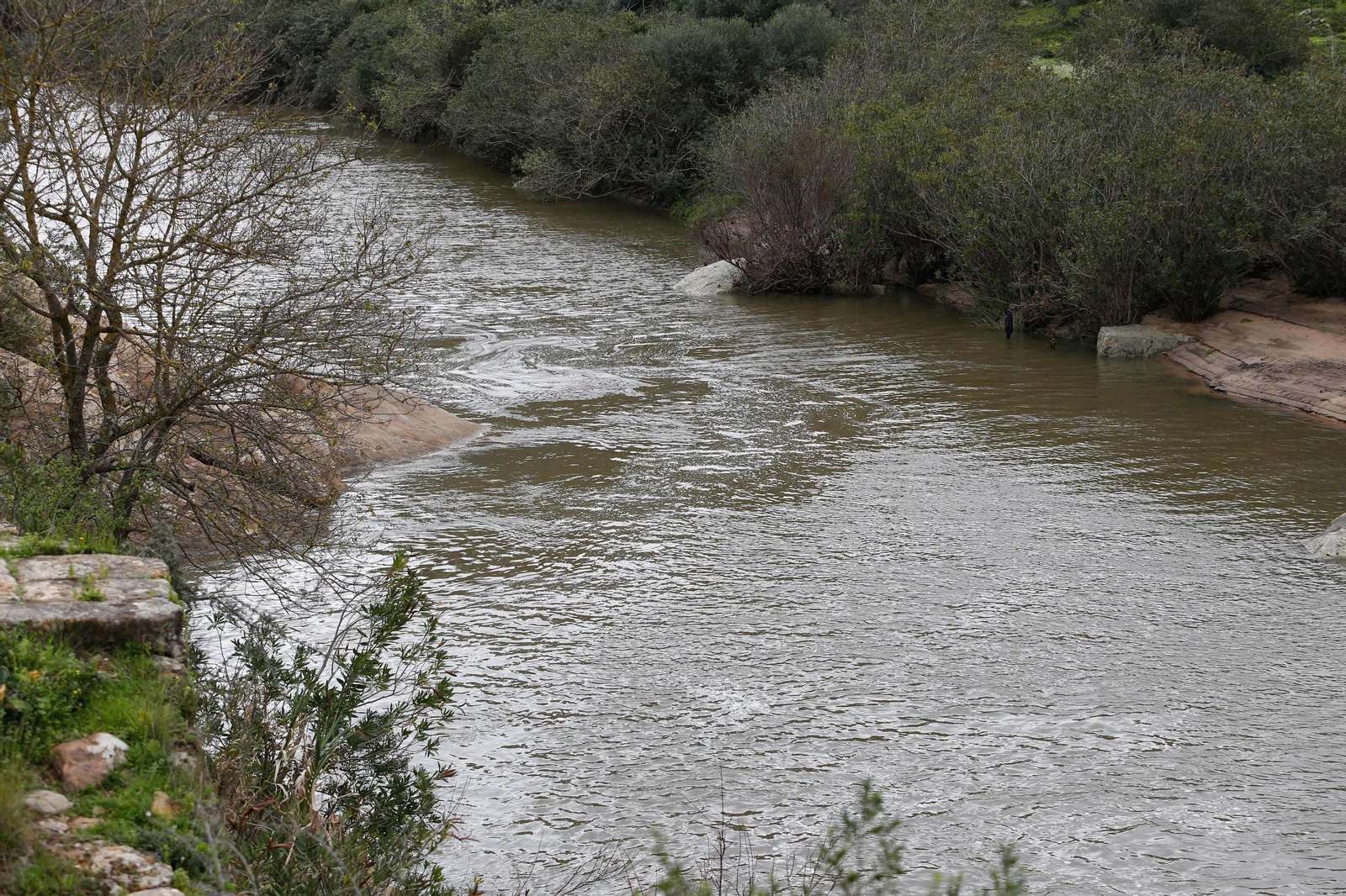 Fotos de los ríos del Campo de Gibraltar tras las últimas lluvias