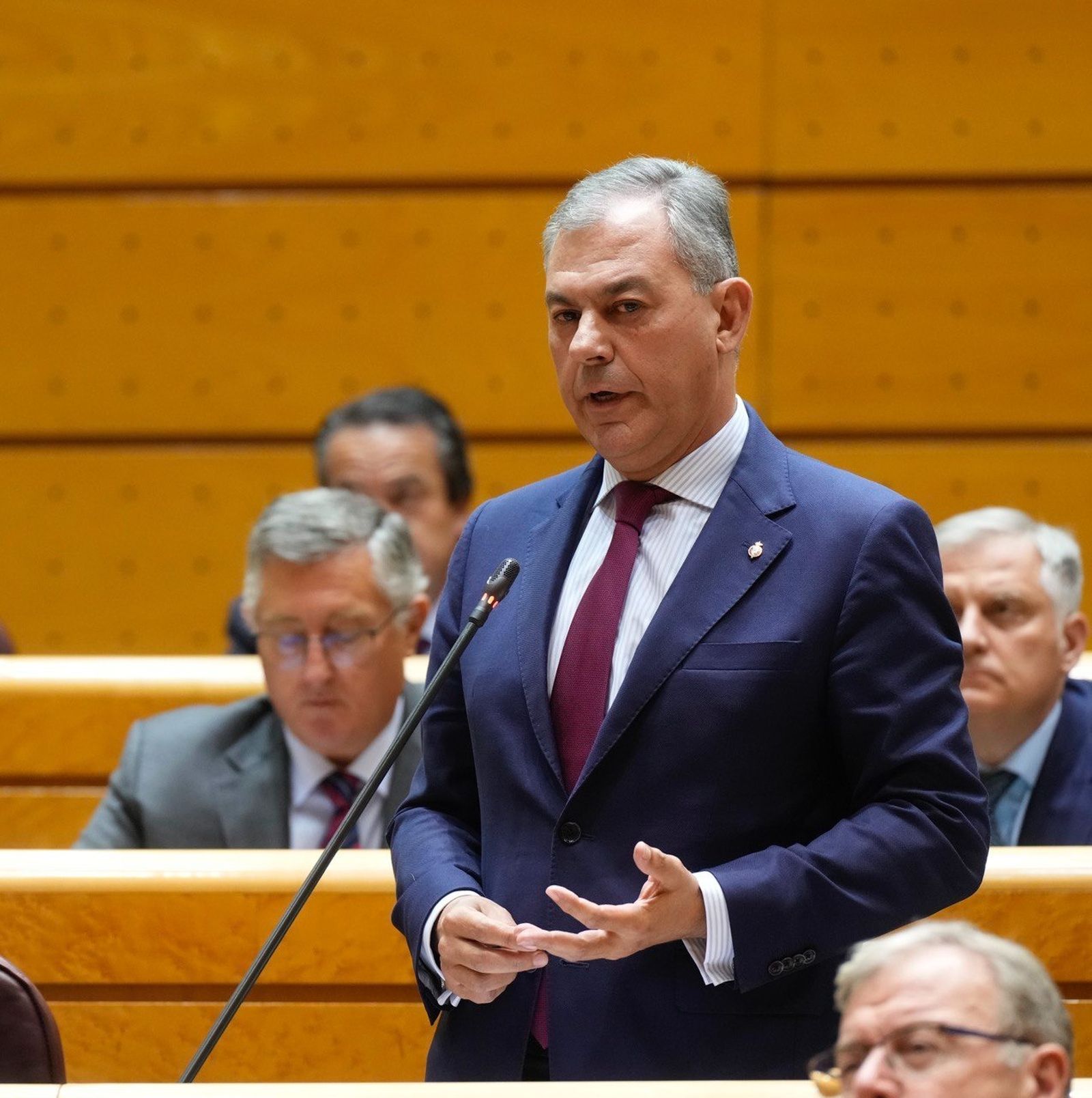 José Luis Sanz en el Senado.