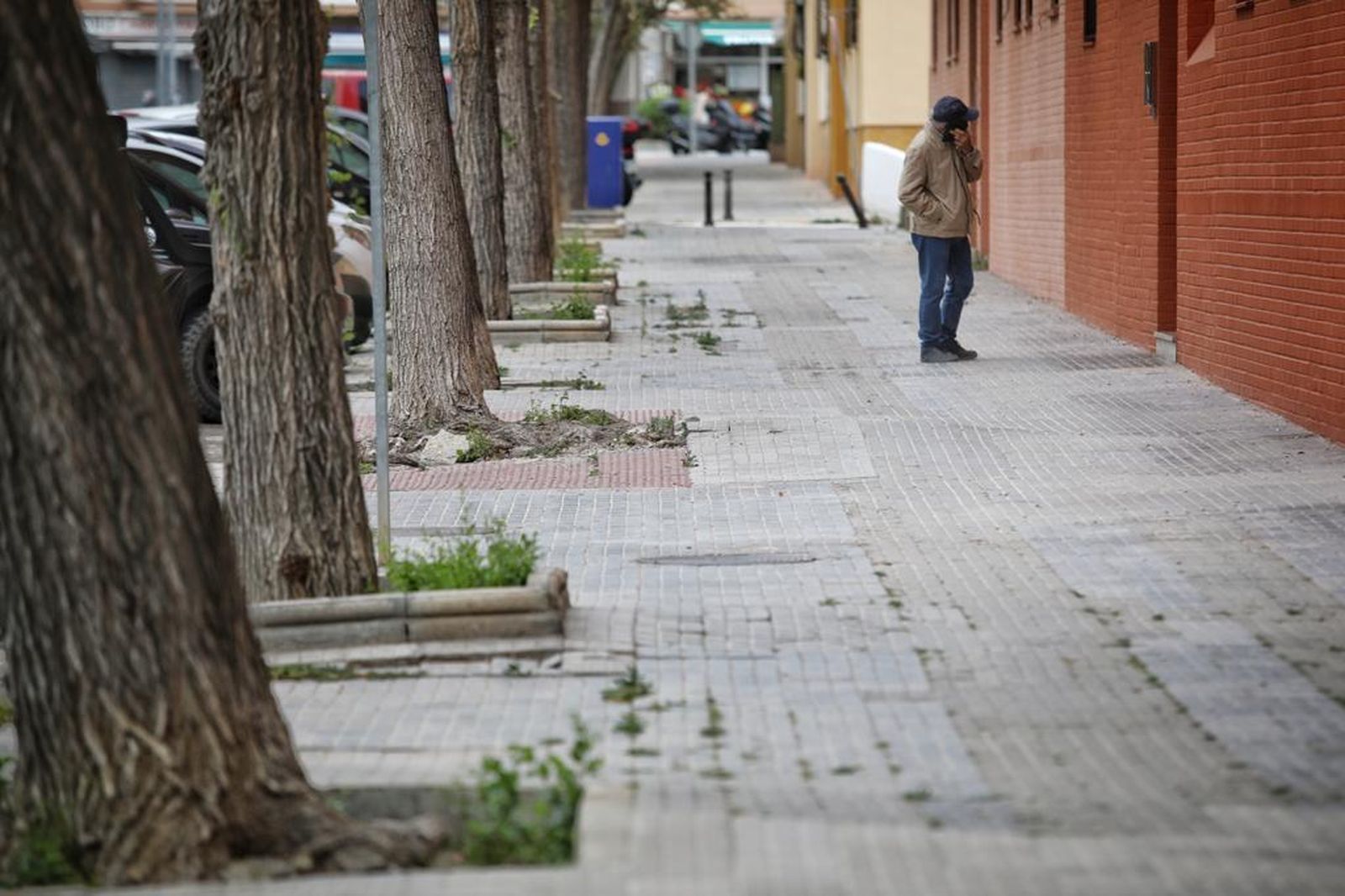 Estado del acerado en una parte de la barriada de La Paz.