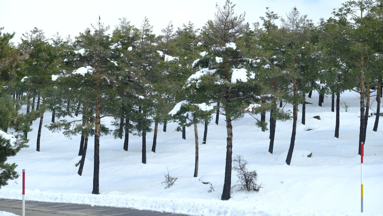 Imágenes del temporal de nieve en la provincia de Almería.