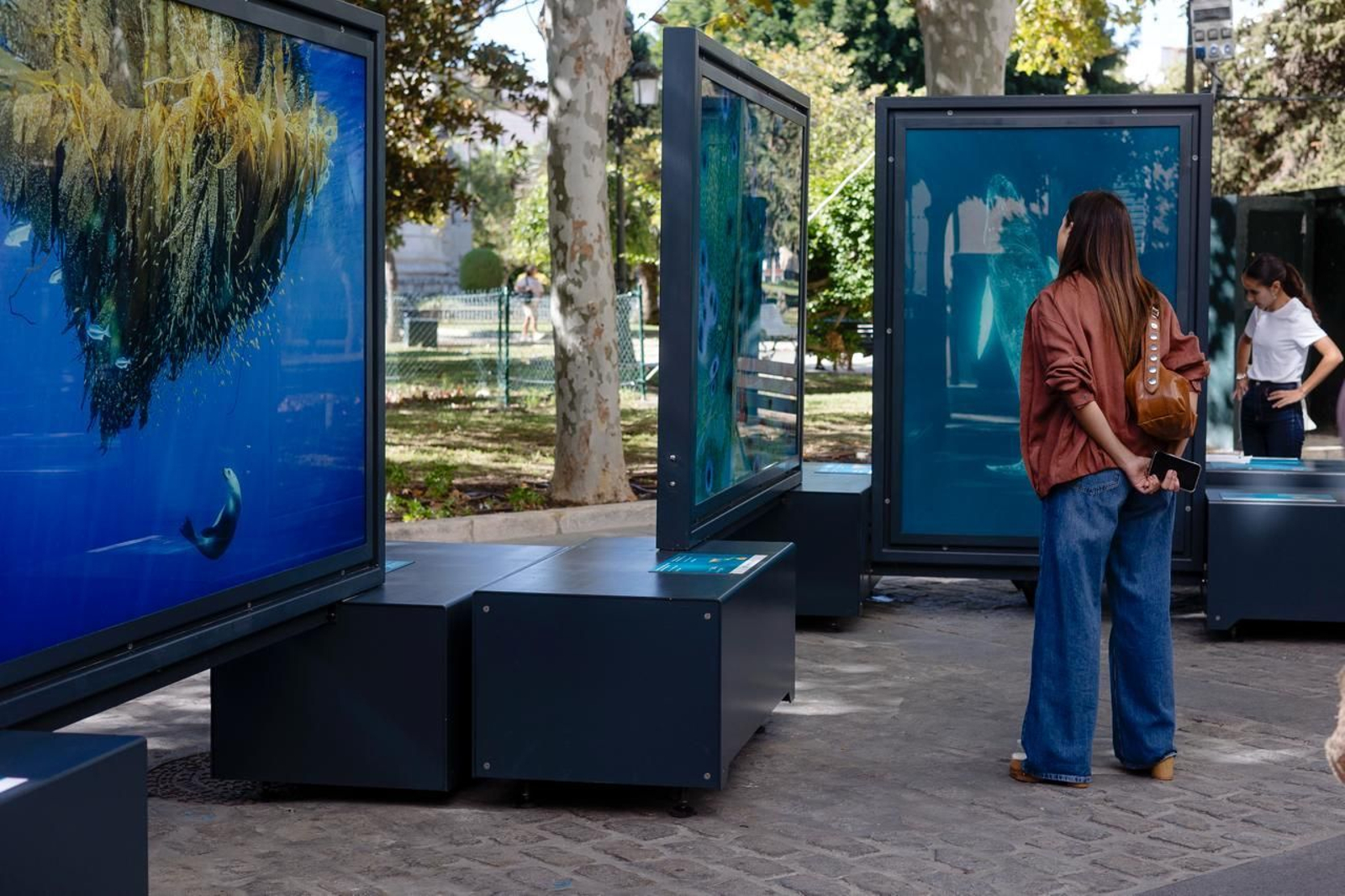 Imágenes de la exposición de National Geographic en Cádiz