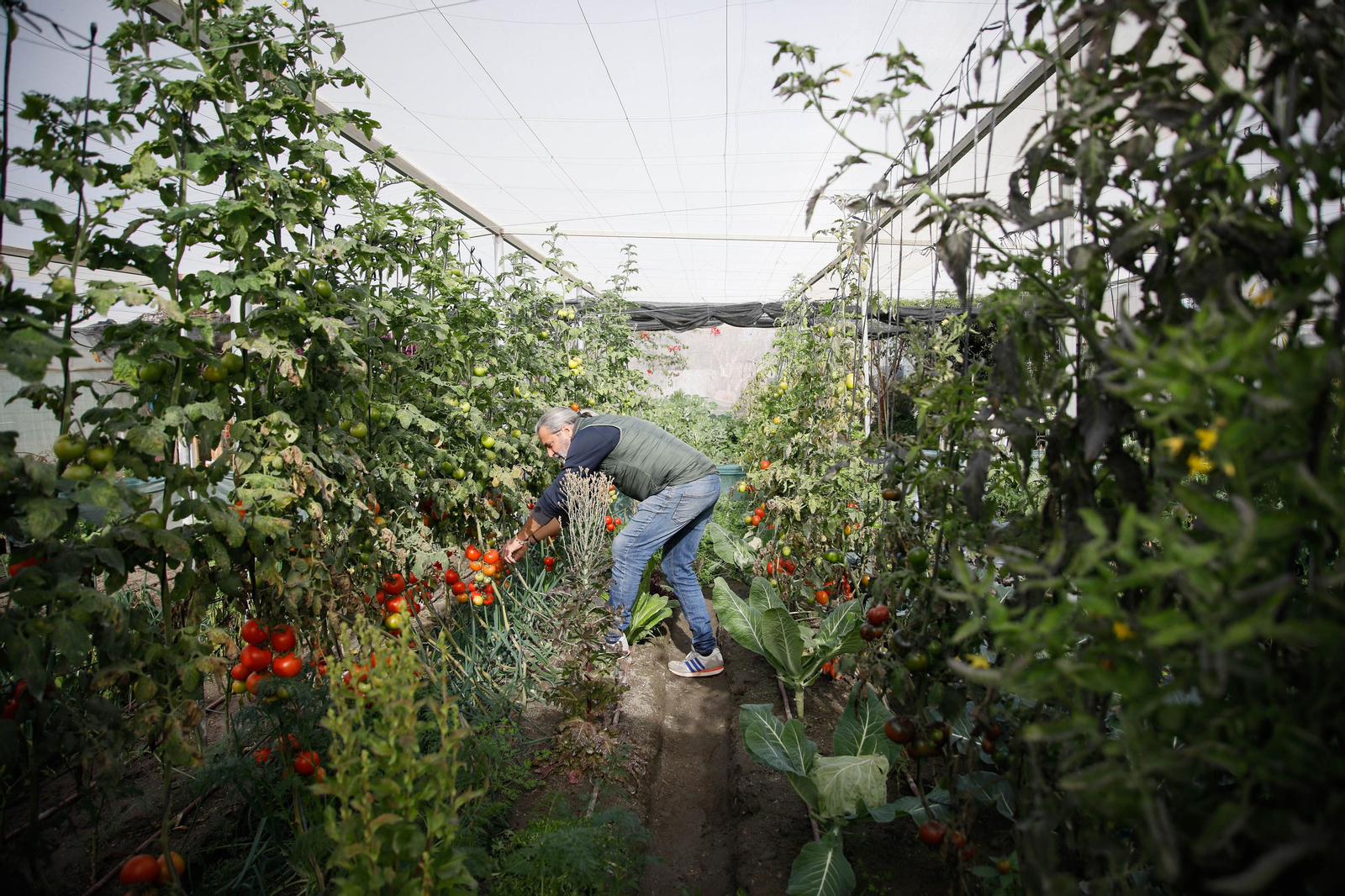 Imágenes del huerto urbano de La Cañada