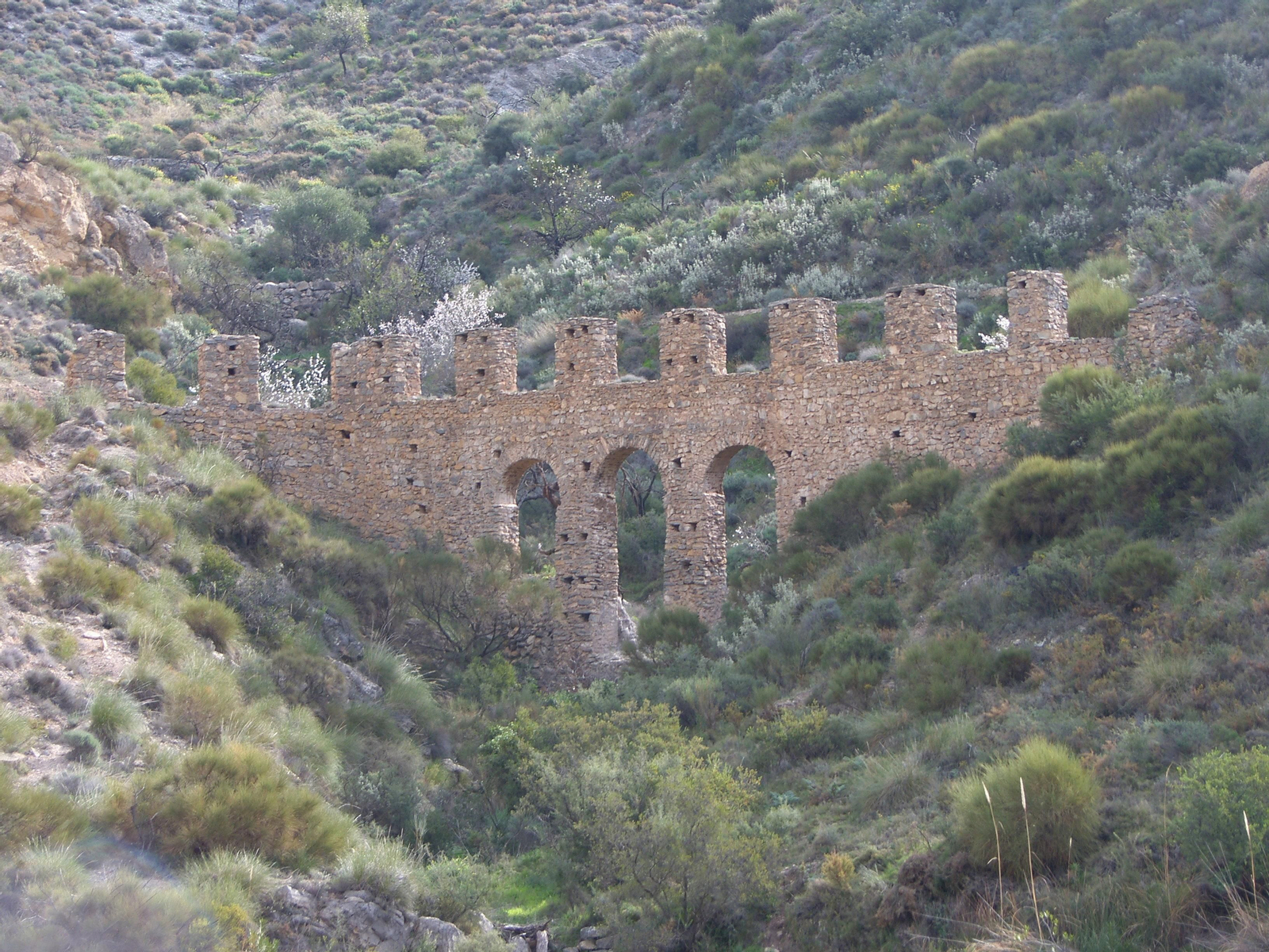 Vícar, historia y naturaleza