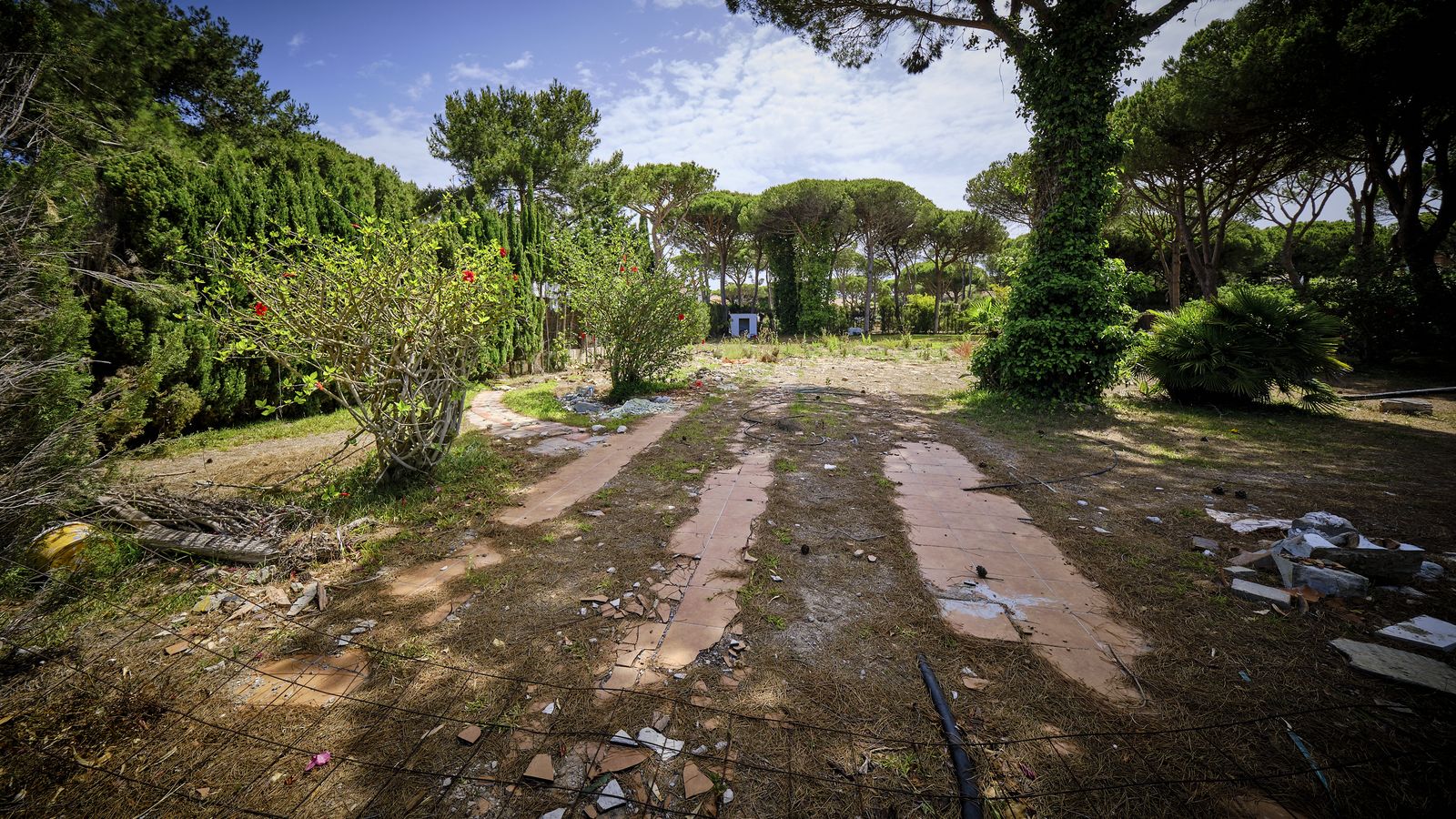 Solar abandonado con matorral seco y evidente peligro de incendio de cara al verano.