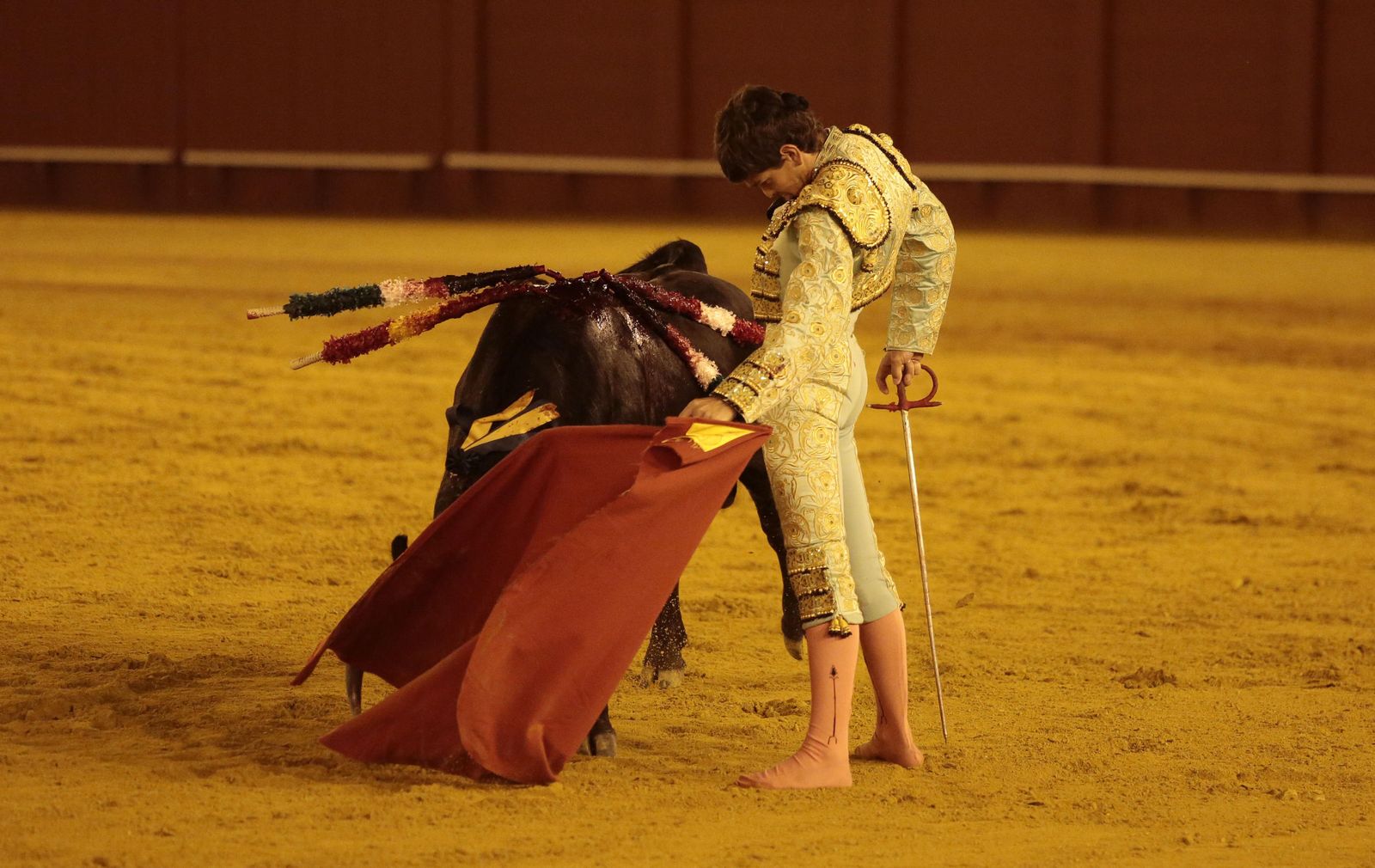 Las imágenes de la primera novillada de promoción en La Maestranza