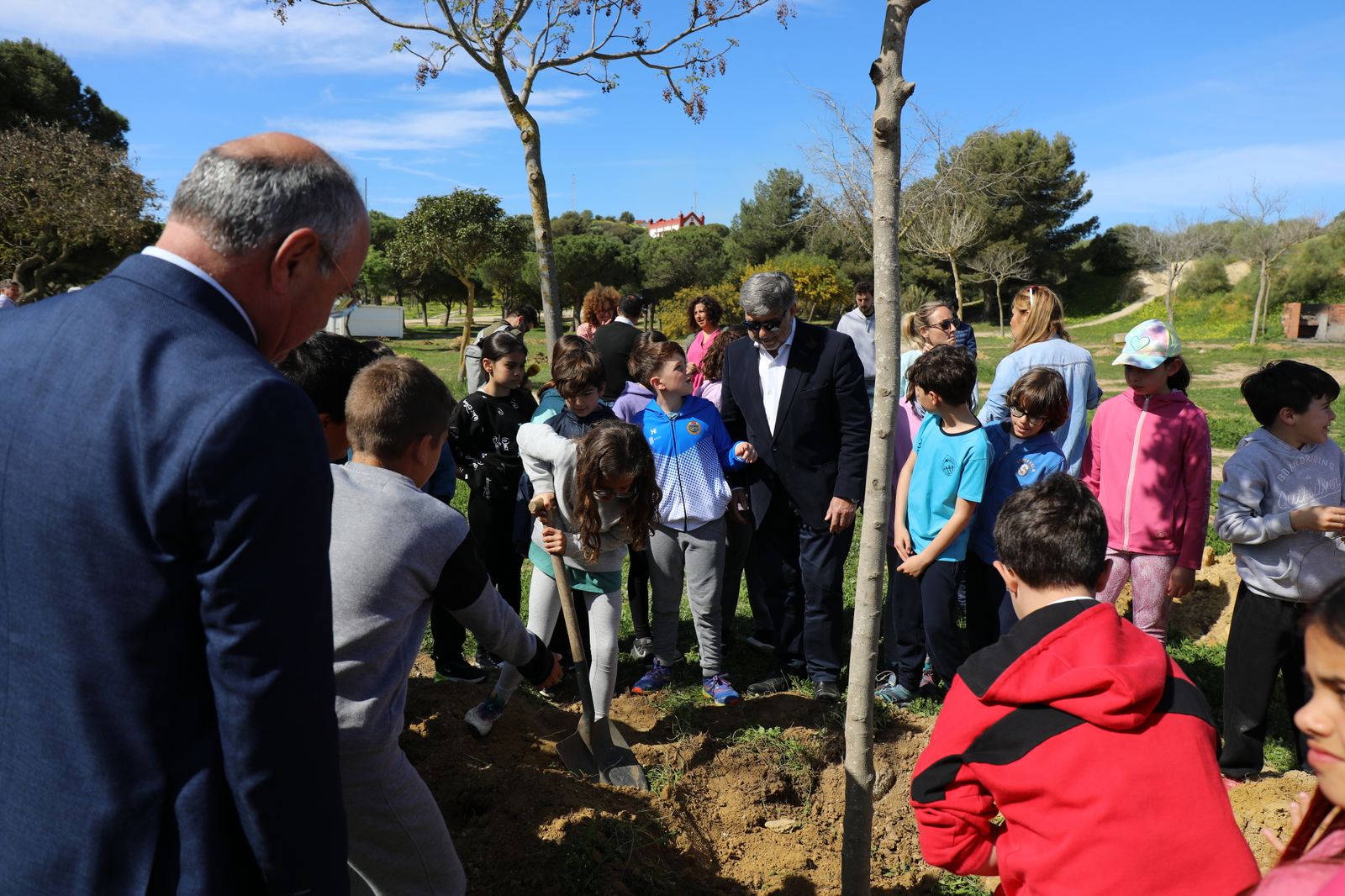 Así ha sido la plantación de árboles en el Cerro por alumnos del colegio Camposoto