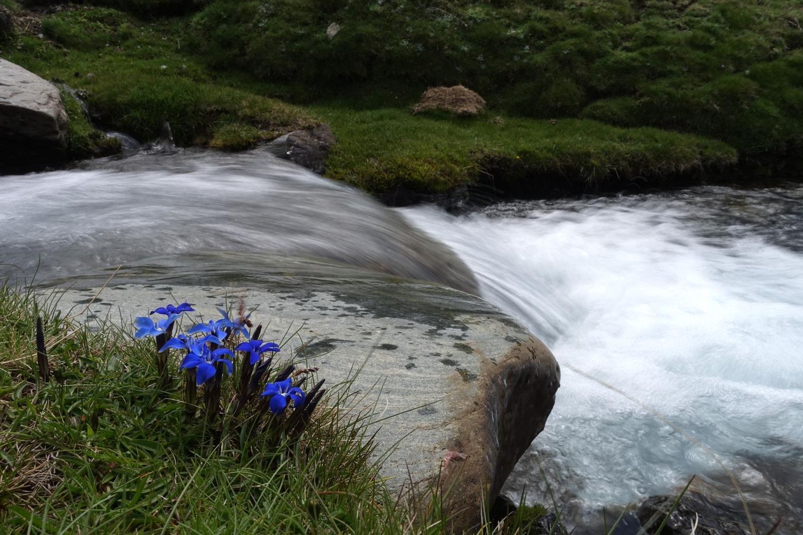 Una de las imágenes galardonadas que podrá verse en la exposición.