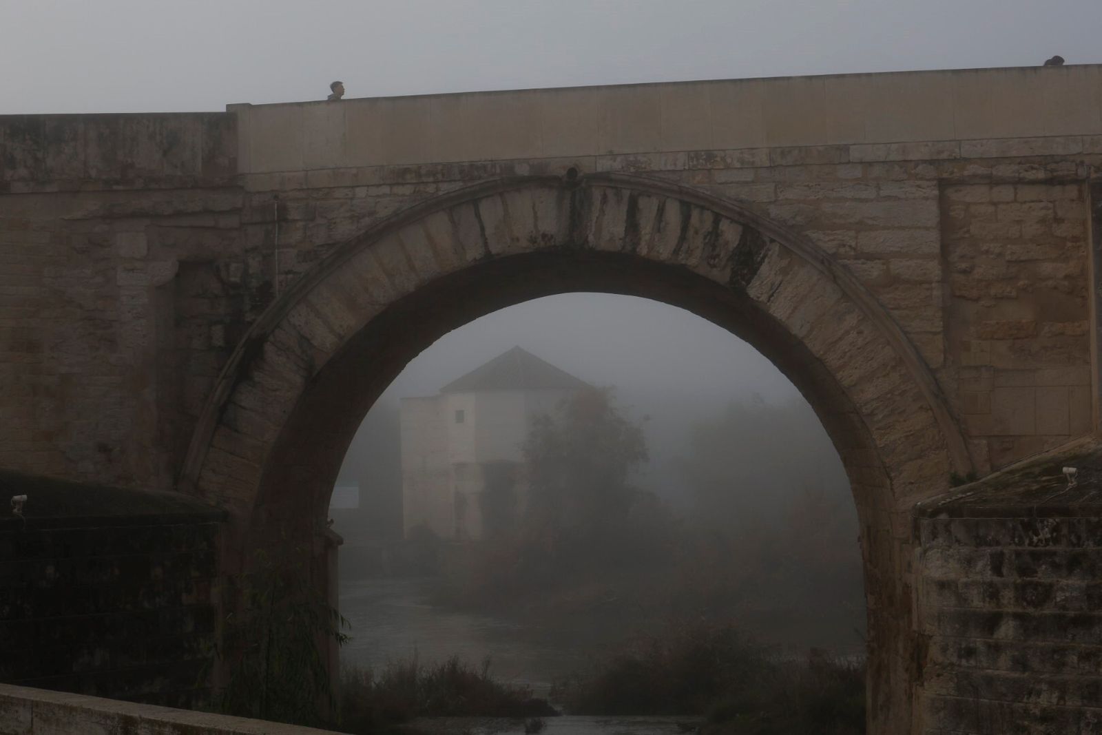 Córdoba comienza la semana cubierta de niebla, en imágenes