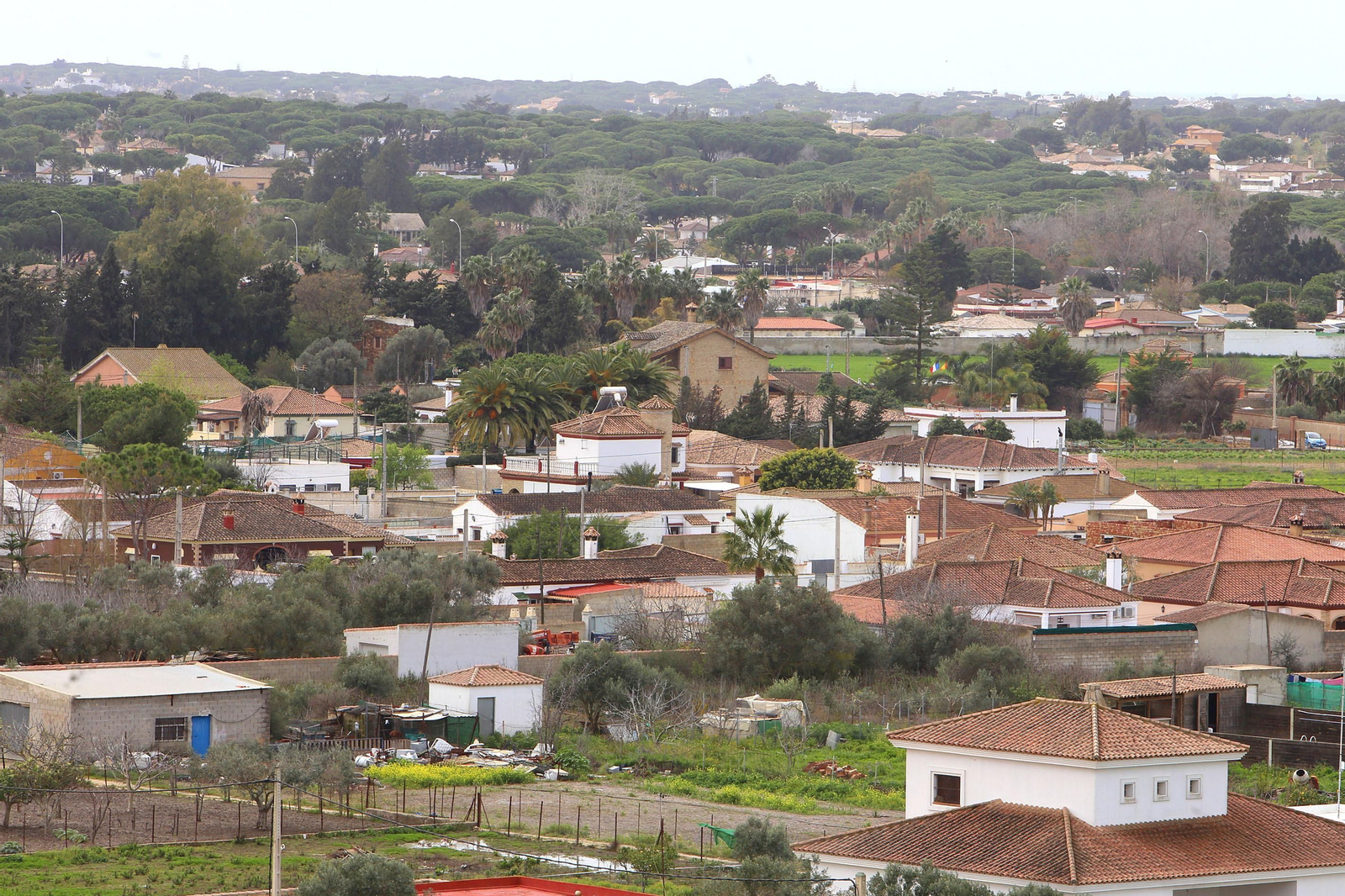 Un núcleo de viviendas sin regularizar en el término municipal de Chiclana.
