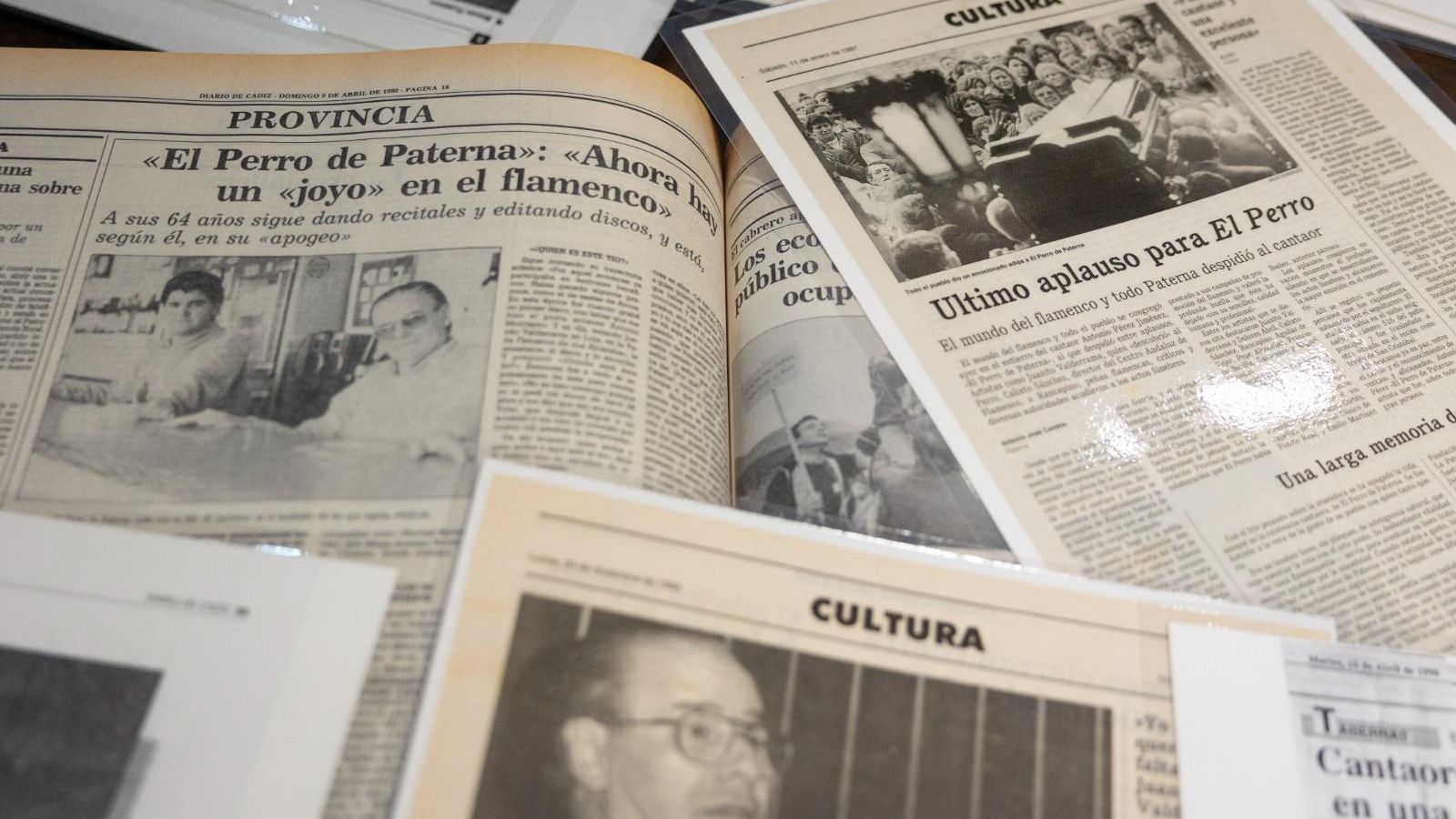 Diferentes artículos publicados en 'Diario de Cádiz' sobre El Perro de Paterna, a lo largo de estos años.