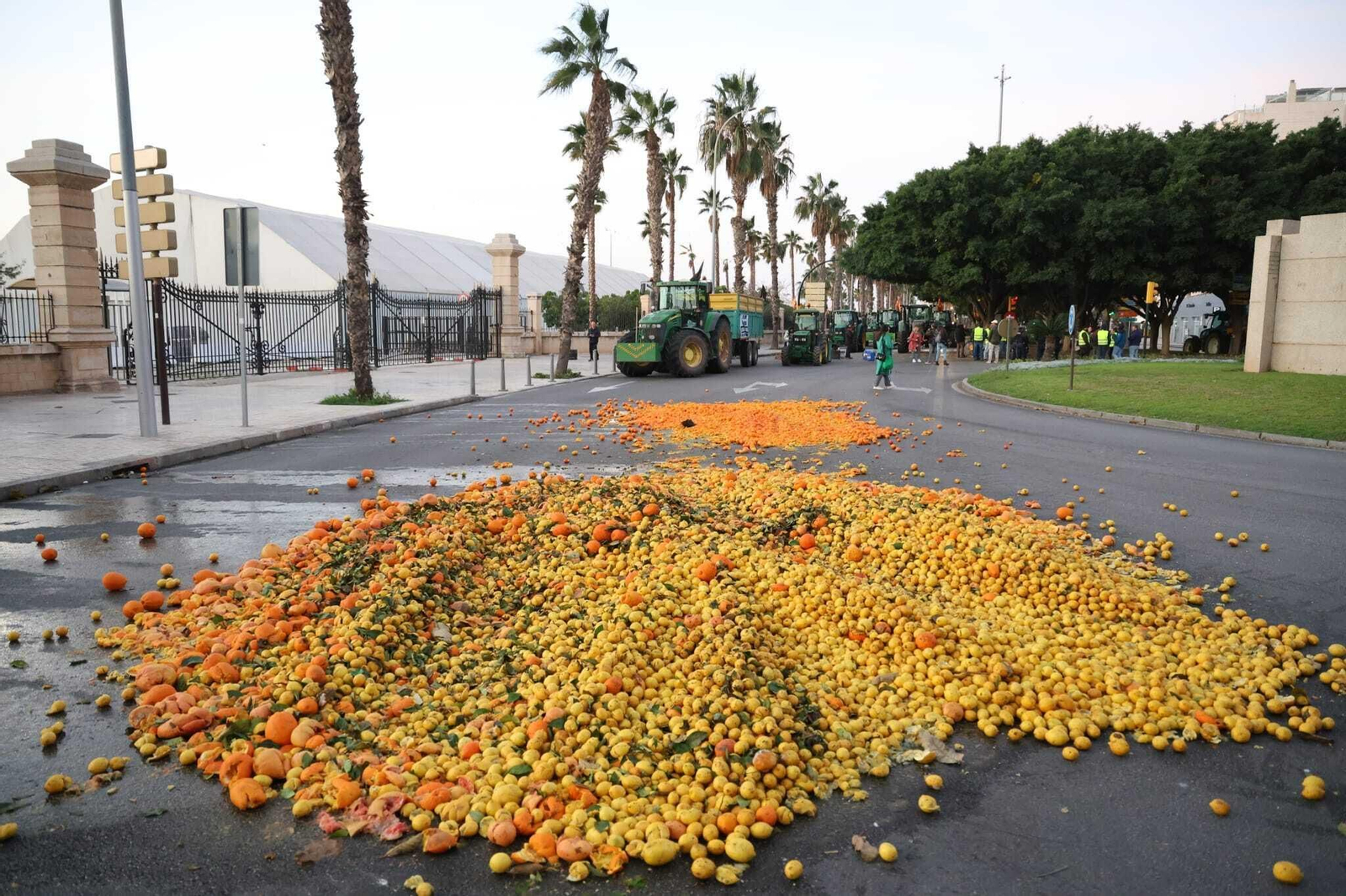 Las fotos de la segunda jornada de protesta de los agricultores de Málaga Las fotos de la segunda jornada de protesta de los agricultores de Málaga