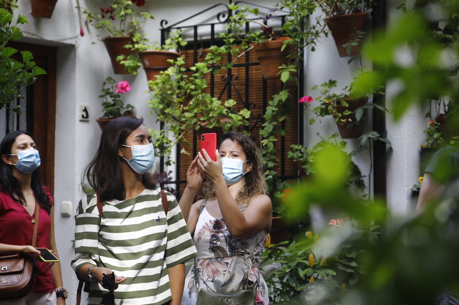 Las fotografías del primer día de apertura de los Patios de Córdoba en otoño