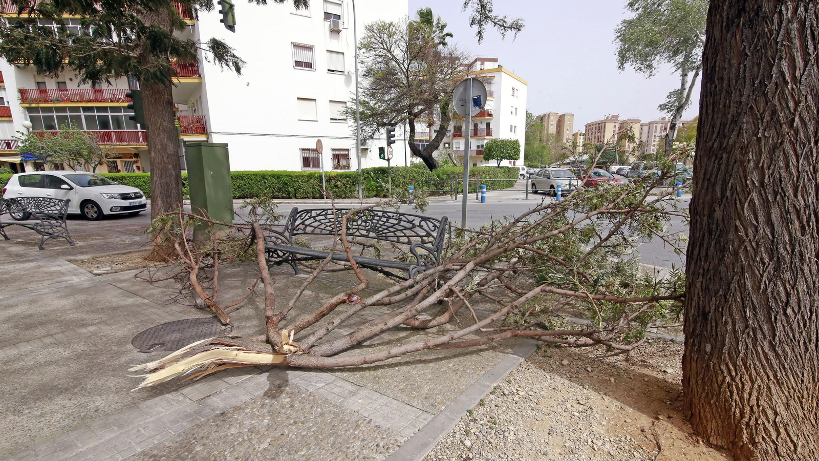 Imágenes de los destrozos ocasionados por el fuerte temporal