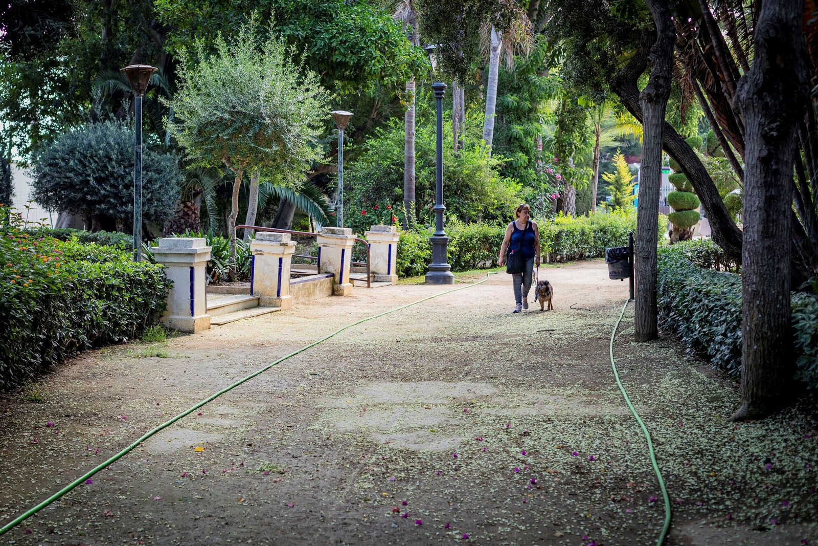 Imágenes del abandono del parque Genovés en Cádiz