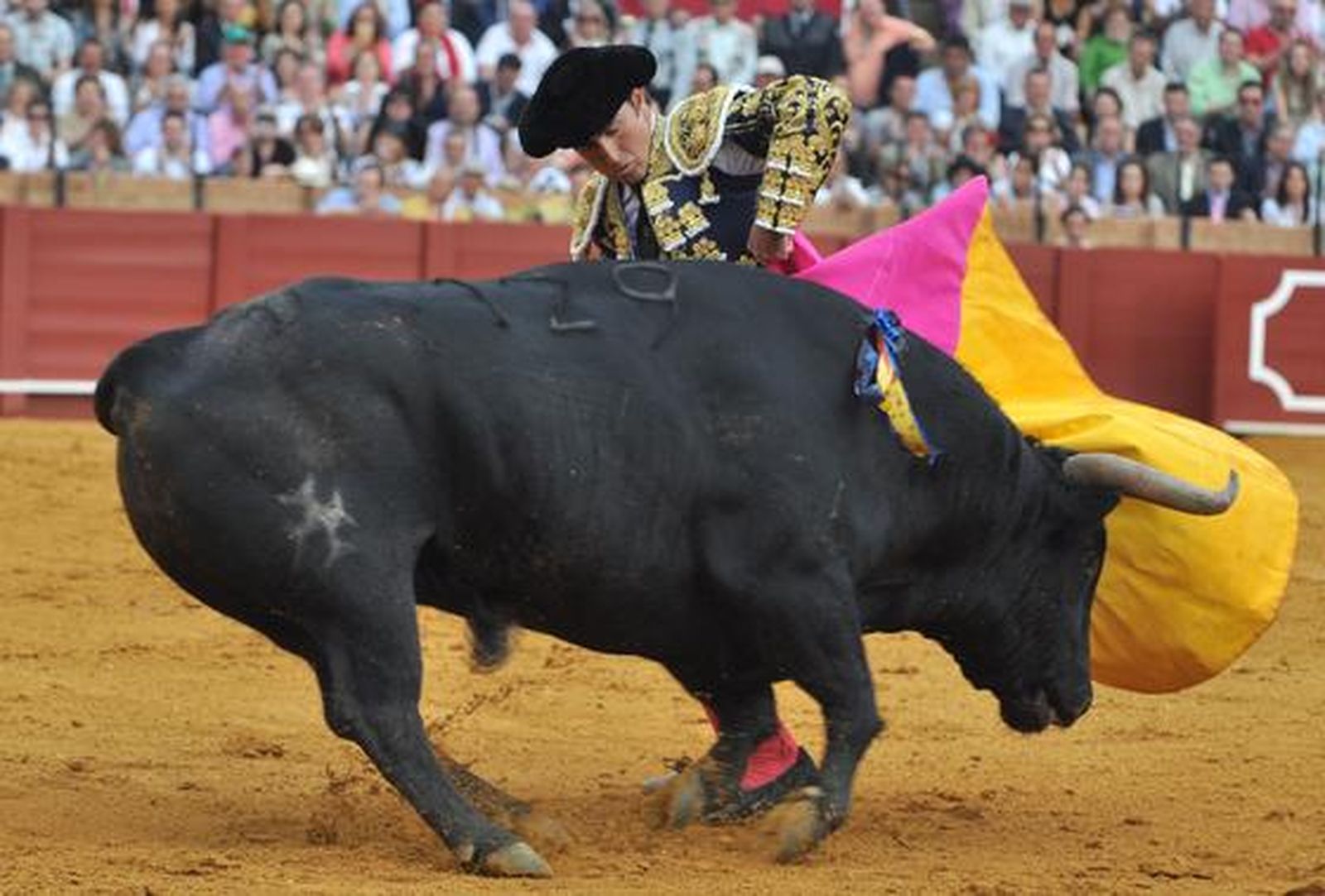 El Fandi rozó el triunfo ante Manuel Díaz 'El Cordobés' y Francisco Rivera Ordóñez. Discreta corrida en la que se torearon astados de la ganadería de Torrestrella. 

Foto: Manuel Gómez