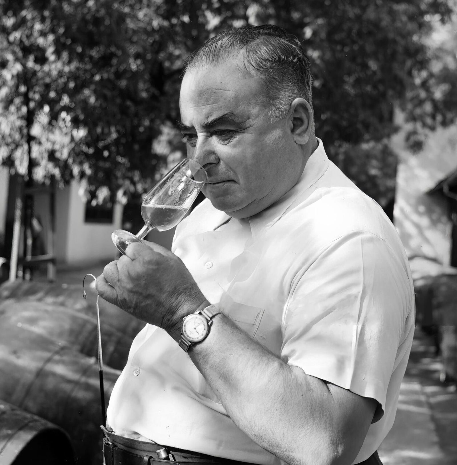 Francisco Muñoz, capataz de Williams&Humbert, foto de John Tarlton.