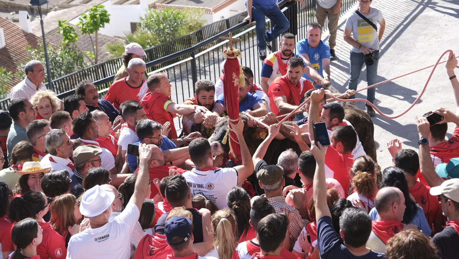 Imágenes de los toros ensogaos y San Marcos, en las Fiestas de Ohanes