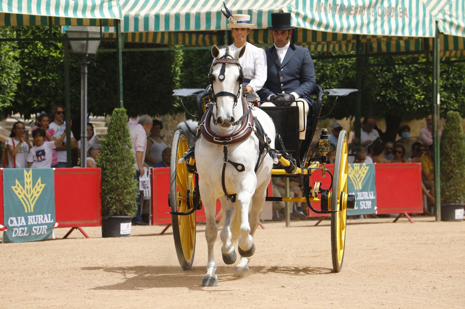 La Exhibición de Carruajes de Tradición de la Feria de Córdoba, en imágenes