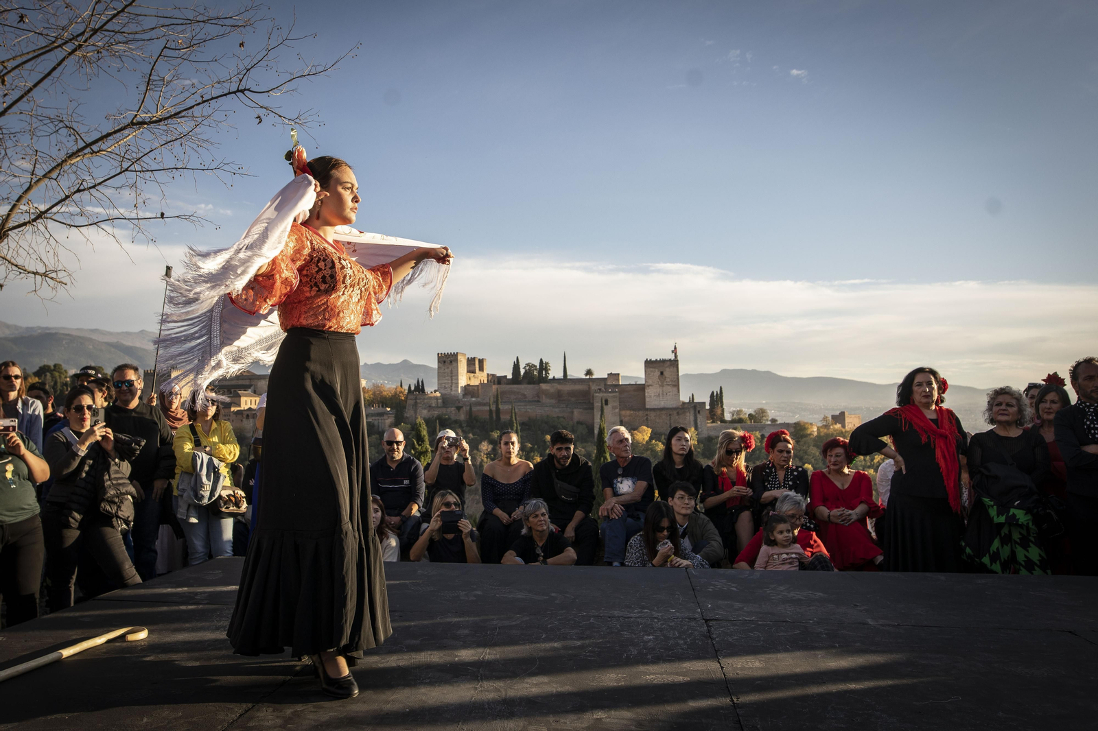 Granada celebra el Día del Flamenco, en imágenes