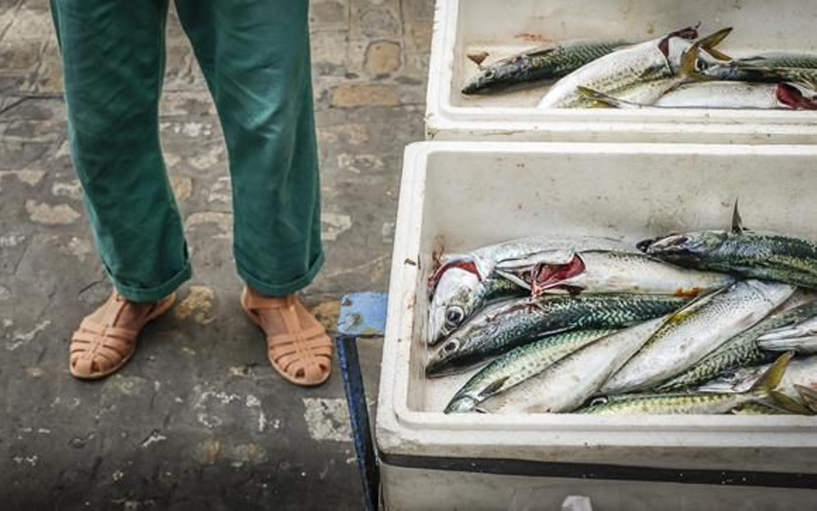 Un vendedor ambulante de pescado. /Julio González