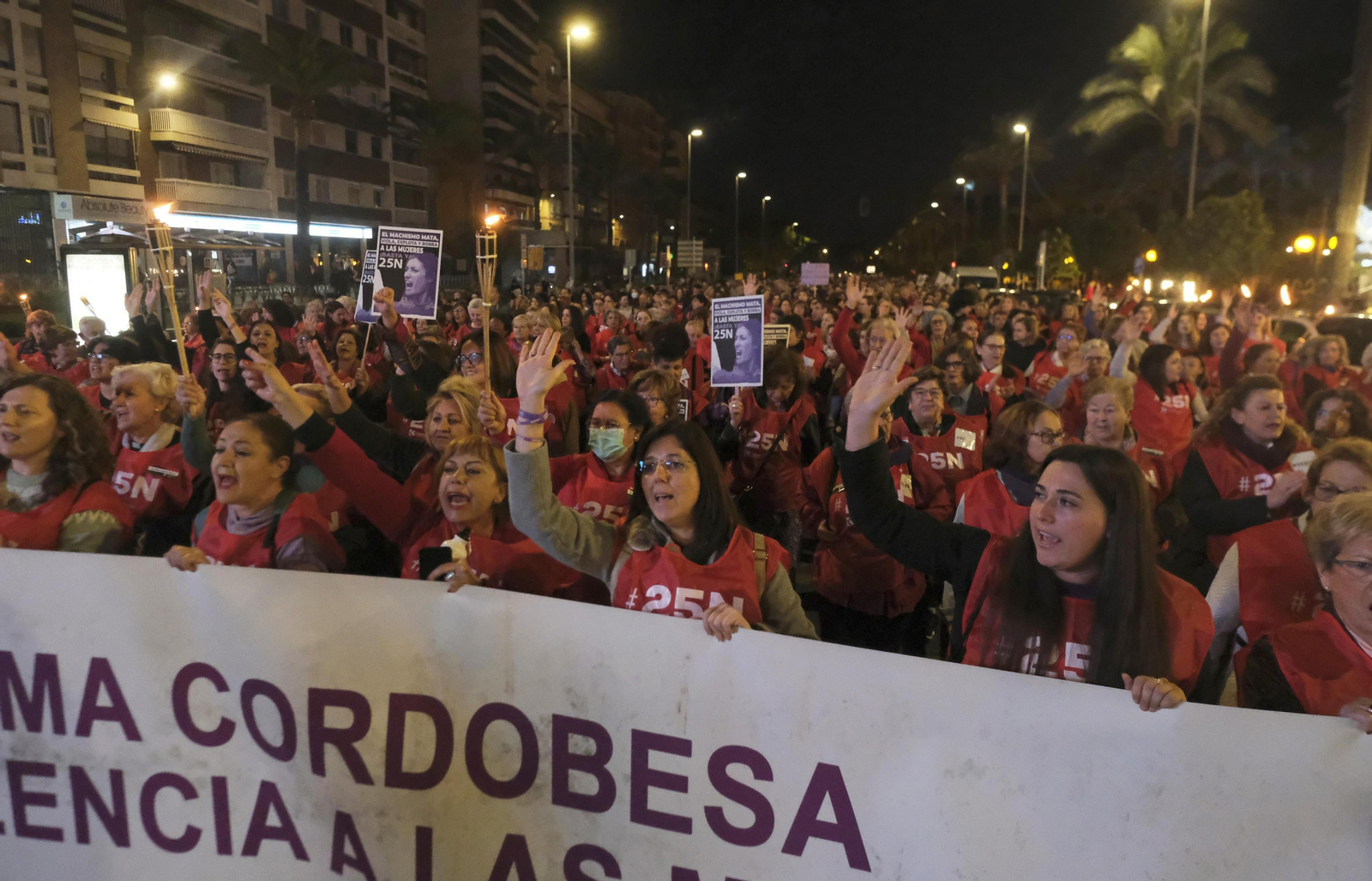 La manifestación en Córdoba contra la violencia de género, en fotografías