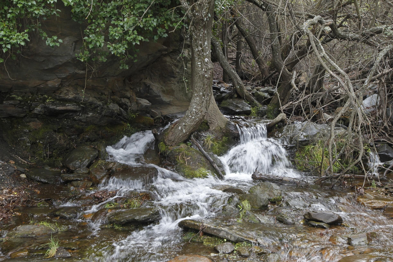Naturaleza desconfinada. La Roza (Abrucena)