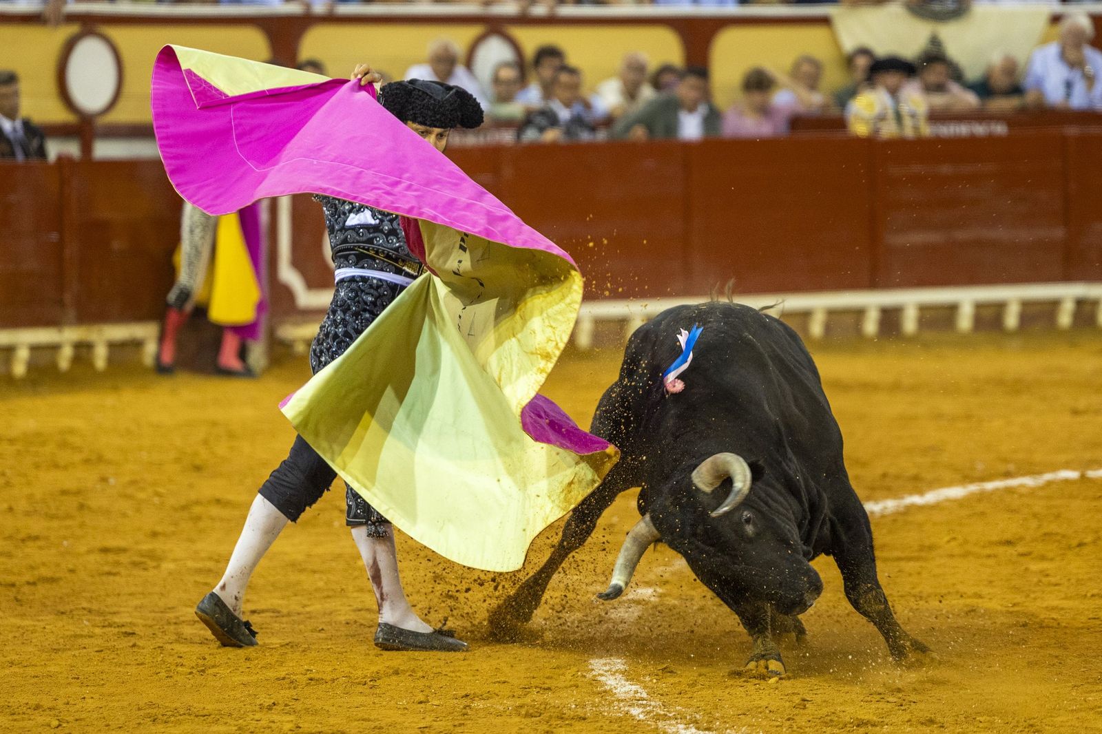 En imágenes, la última corrida de toros del verano en la plaza de El Puerto de Santa María
