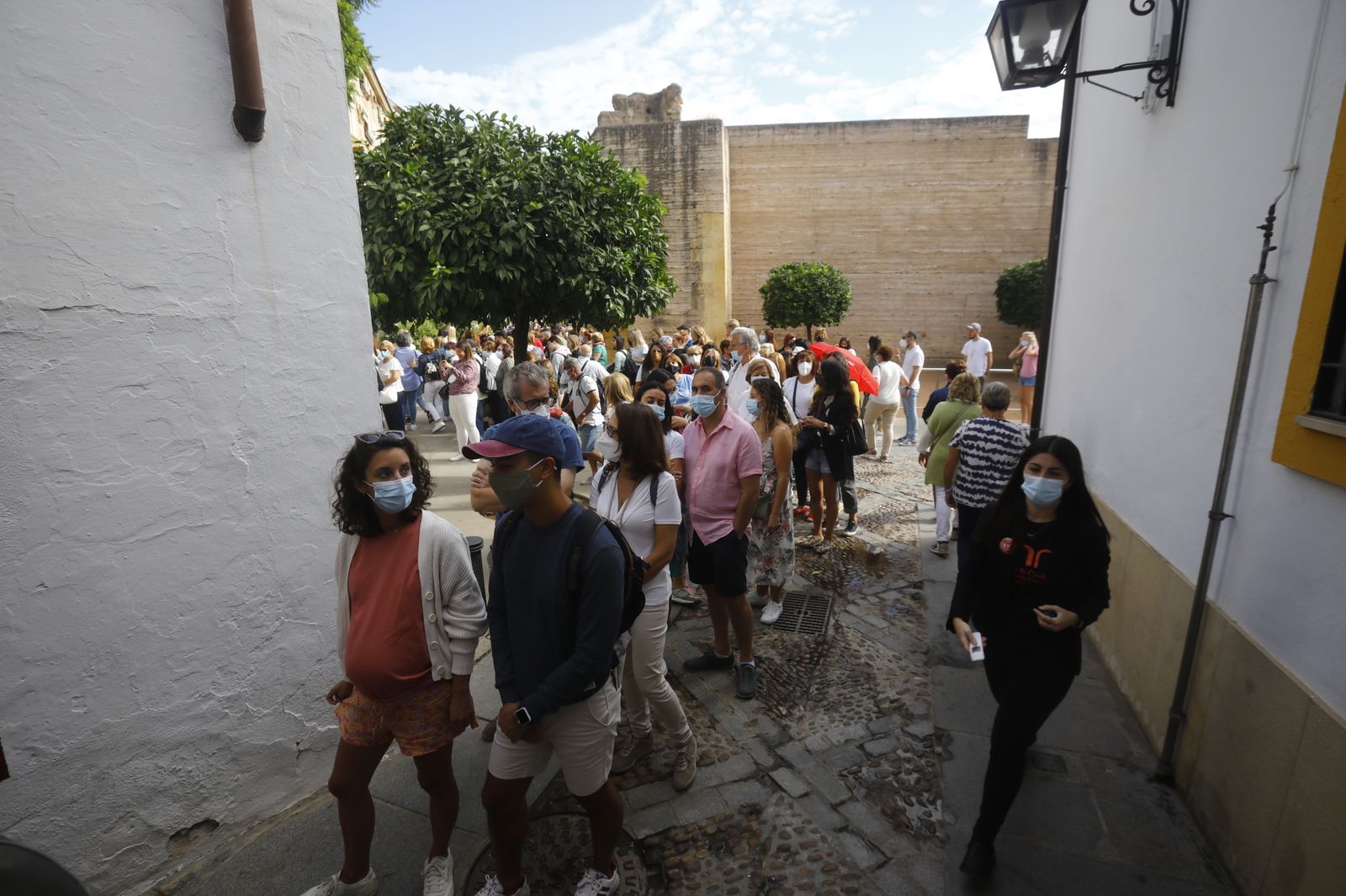 Las fotografías del primer día de apertura de los Patios de Córdoba en otoño