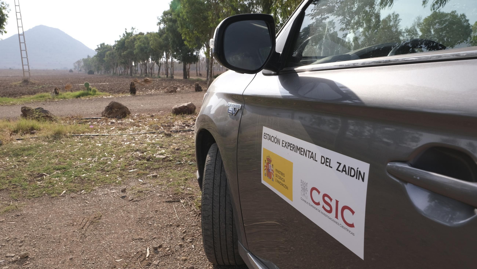 Recorrido por el cortijo El Romeral con 1200 cabras celtibéricas, en imágenes