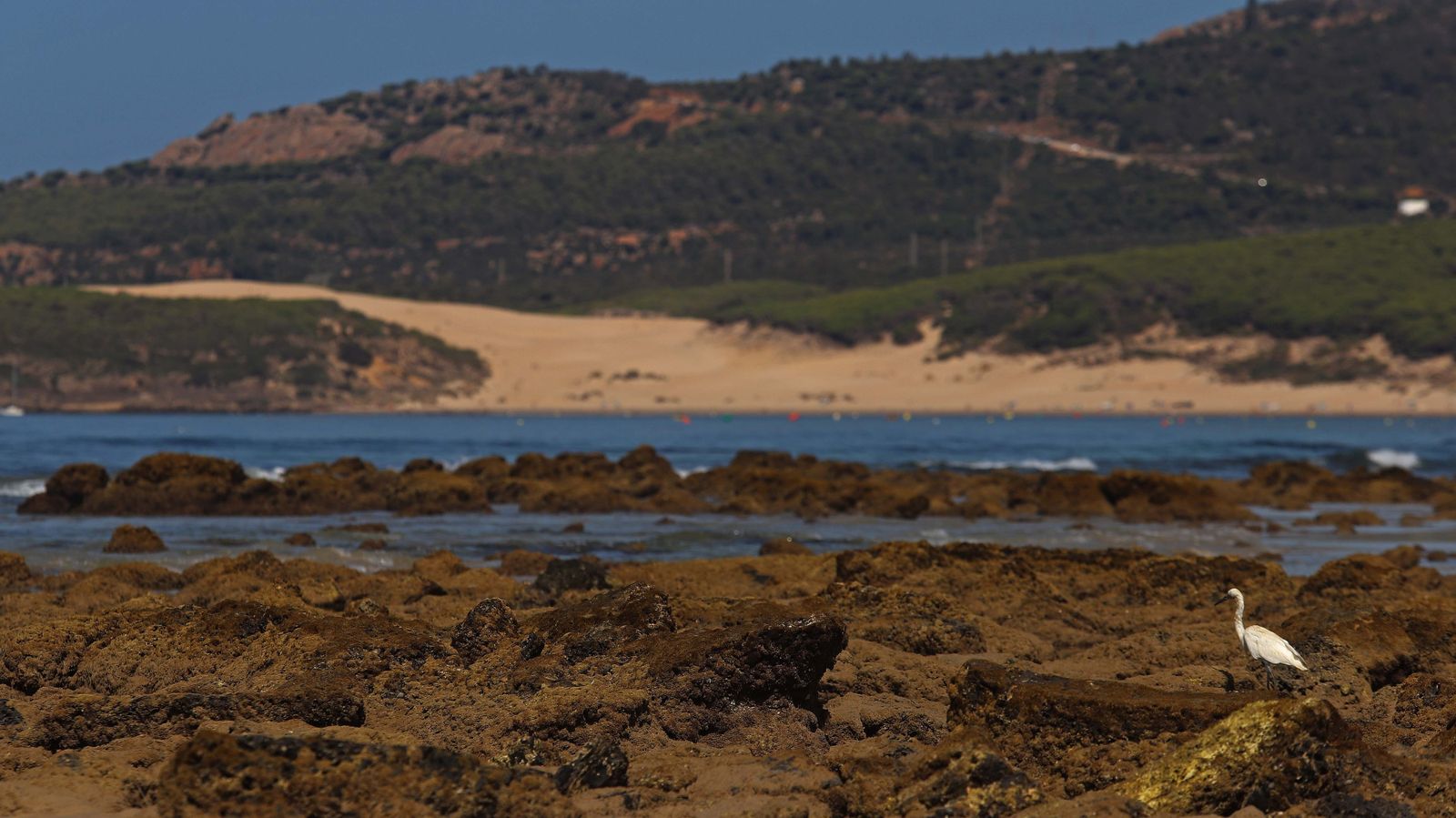 Fotos de la playa de Bolonia