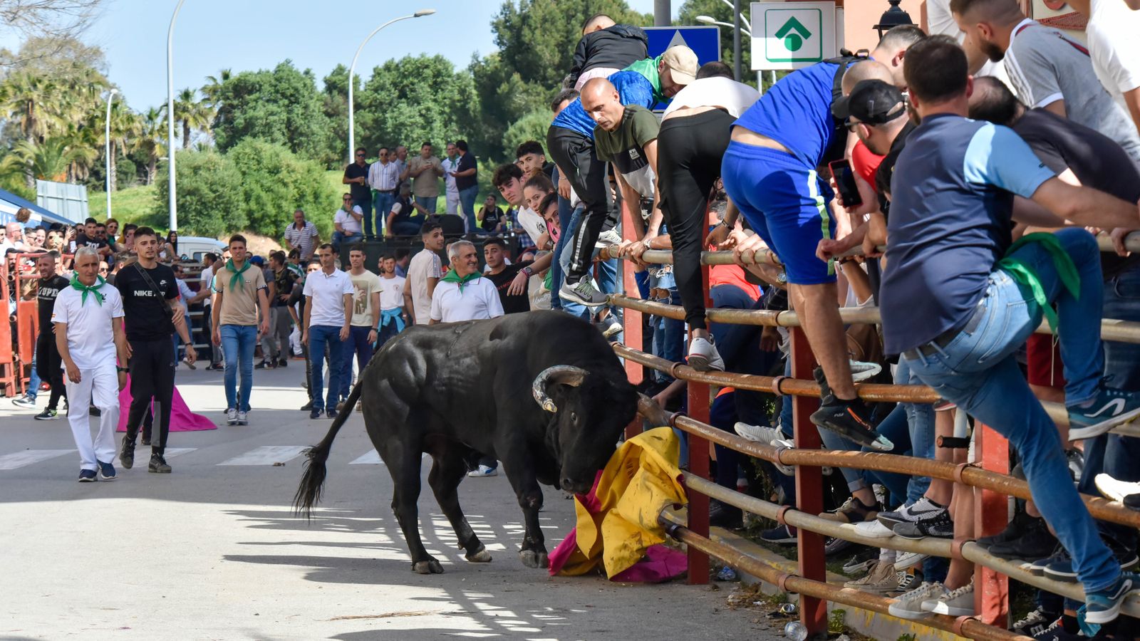 Fotos del encierro del sábado del Toro Embolao en Los Barrios